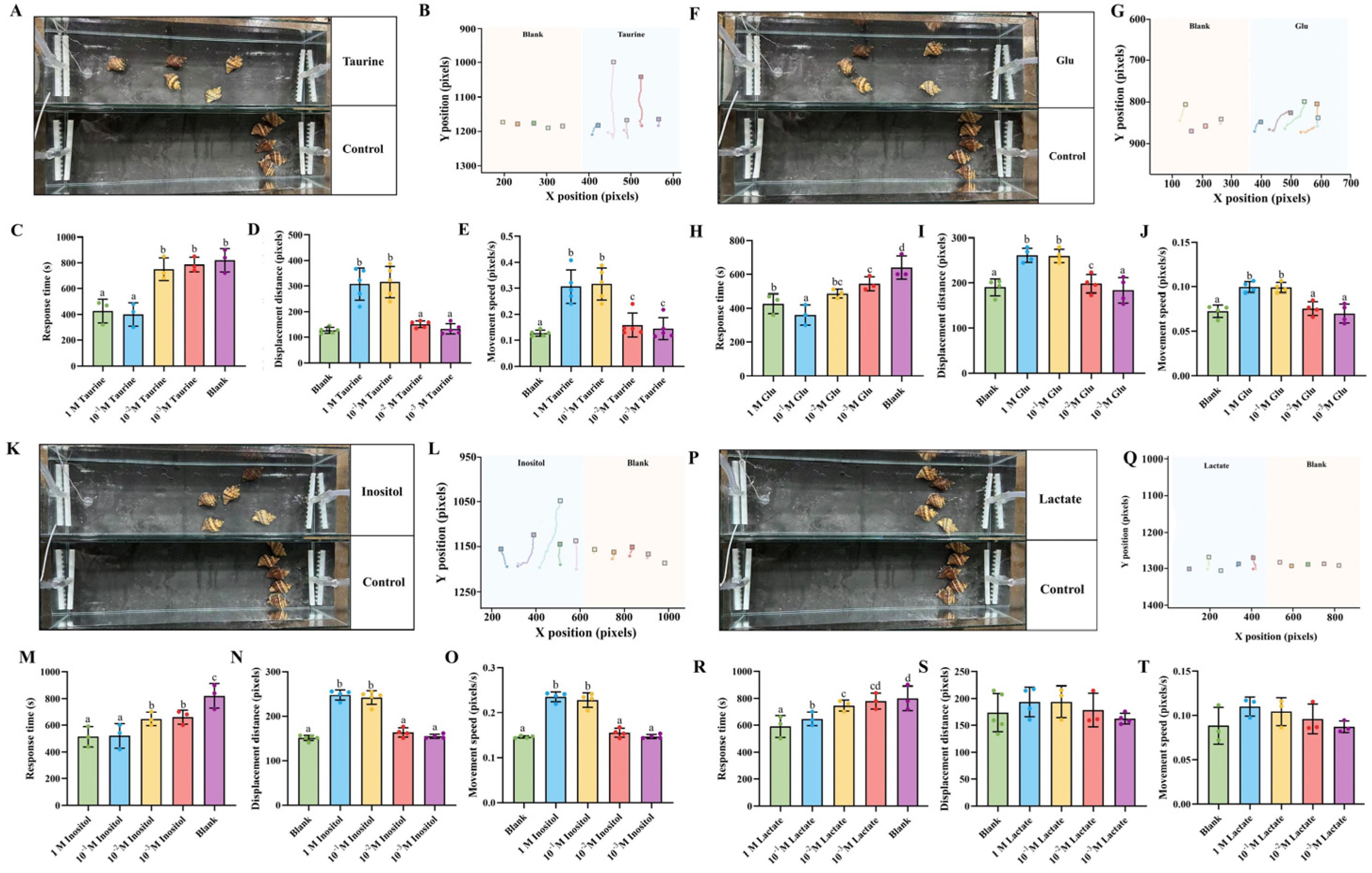 Biology 14 01627 g004
