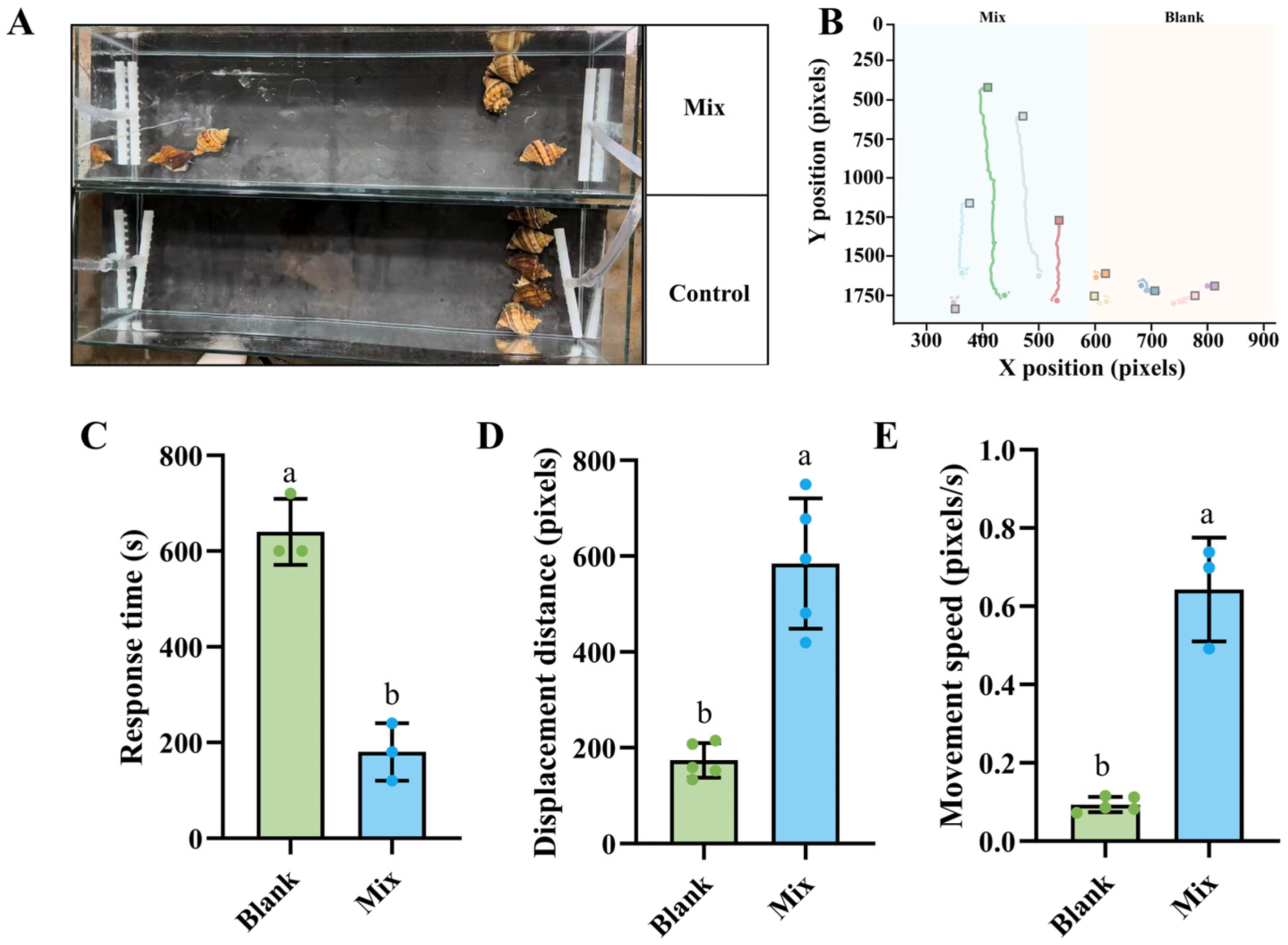 Biology 14 01627 g005