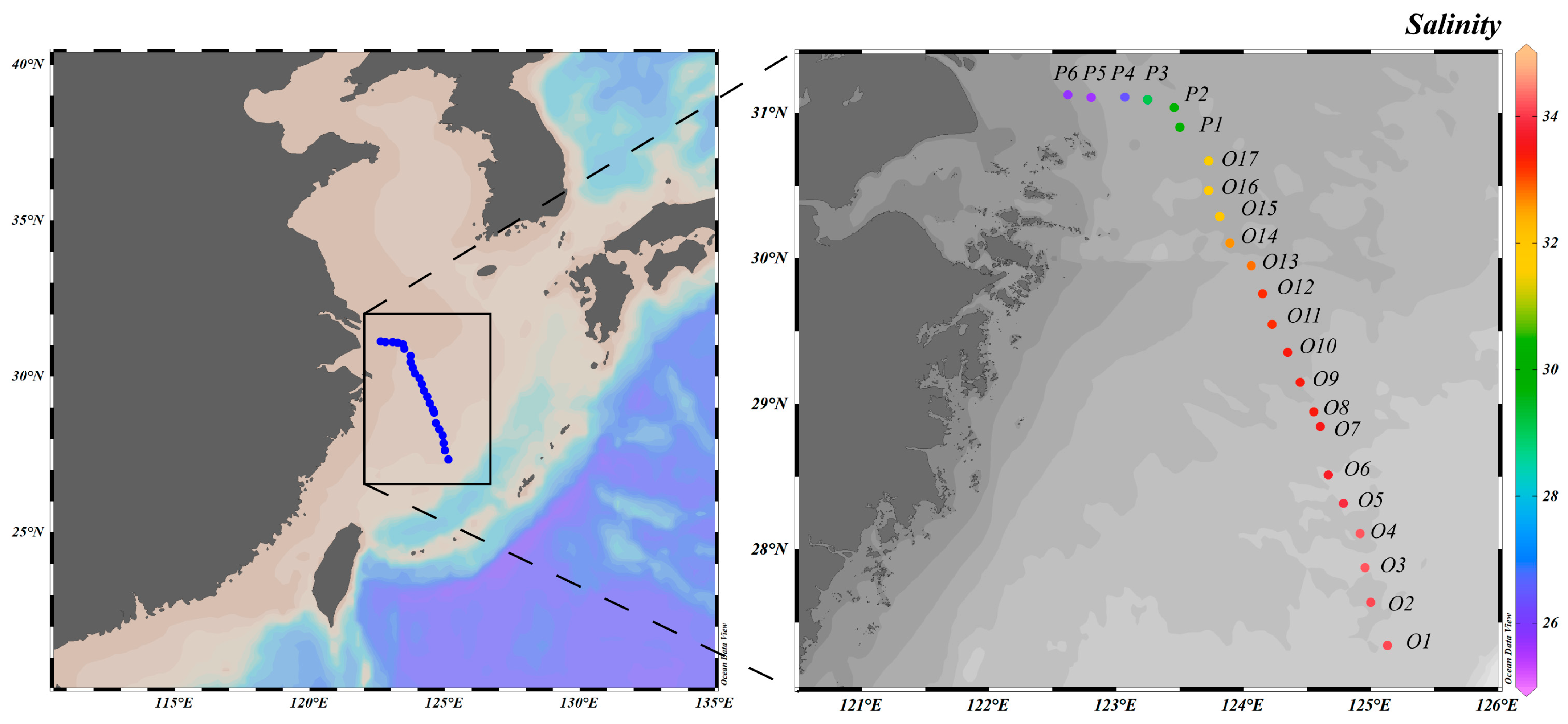 Biology 14 01628 g001