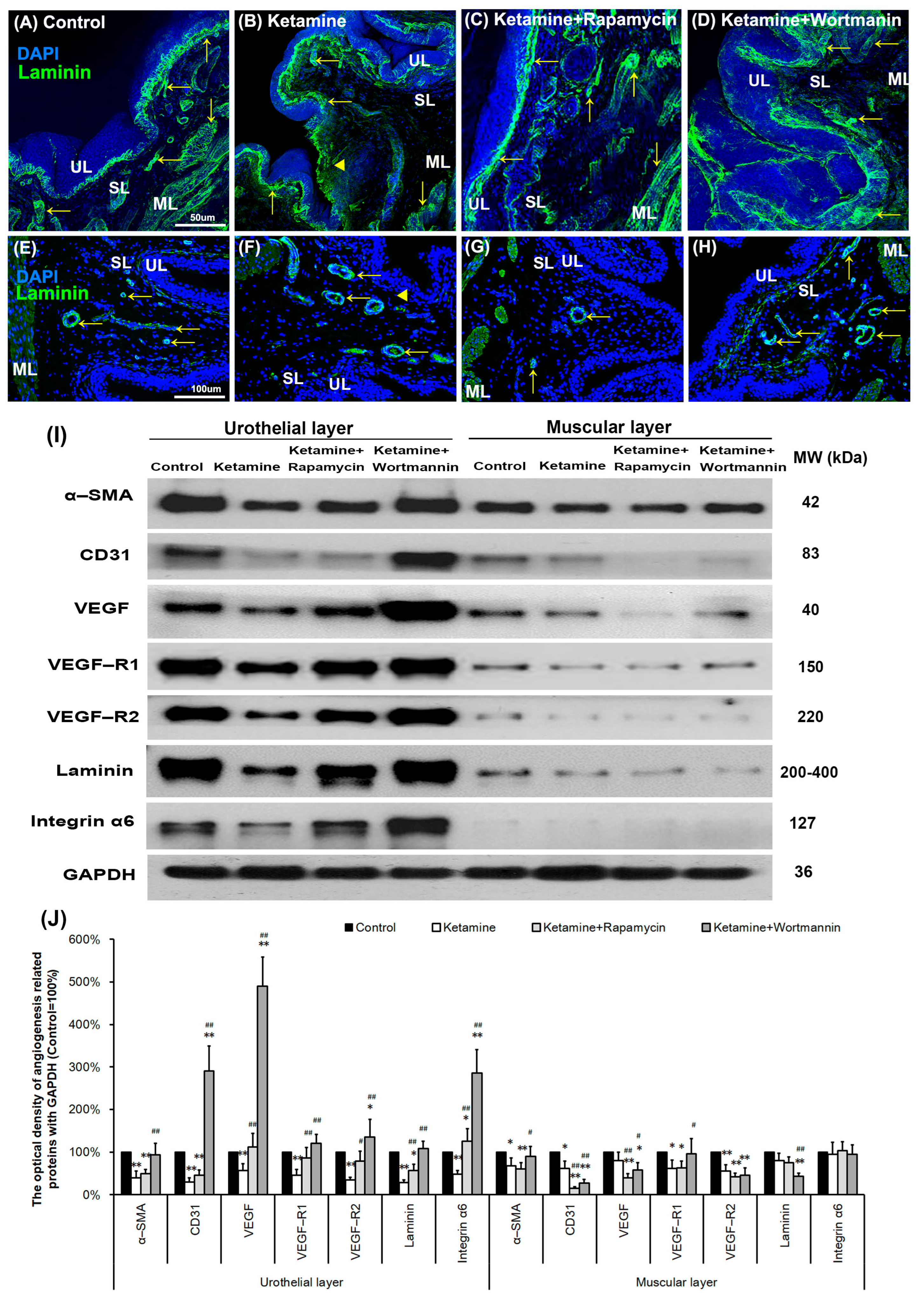 Biology 14 01630 g006