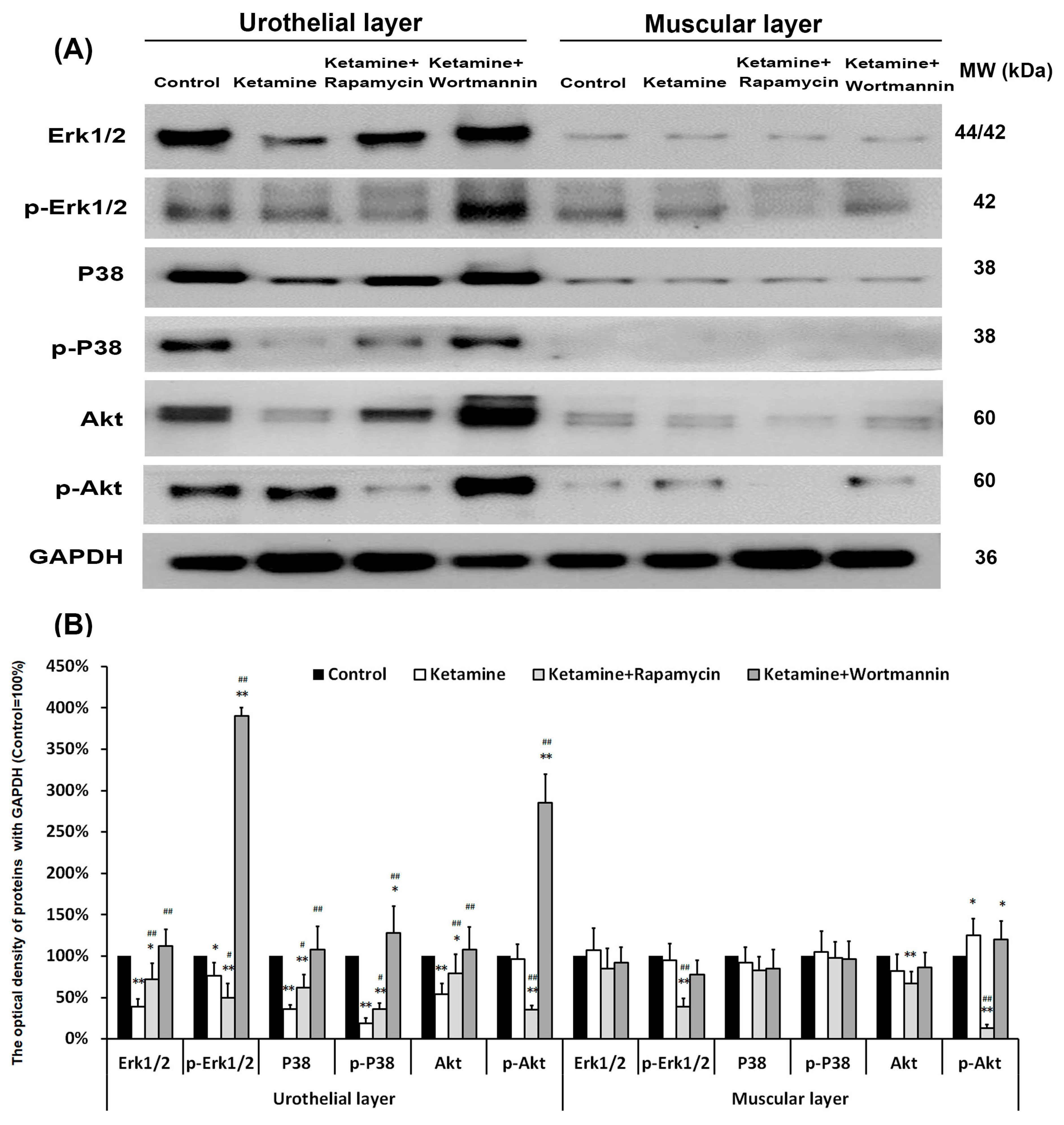 Biology 14 01630 g008