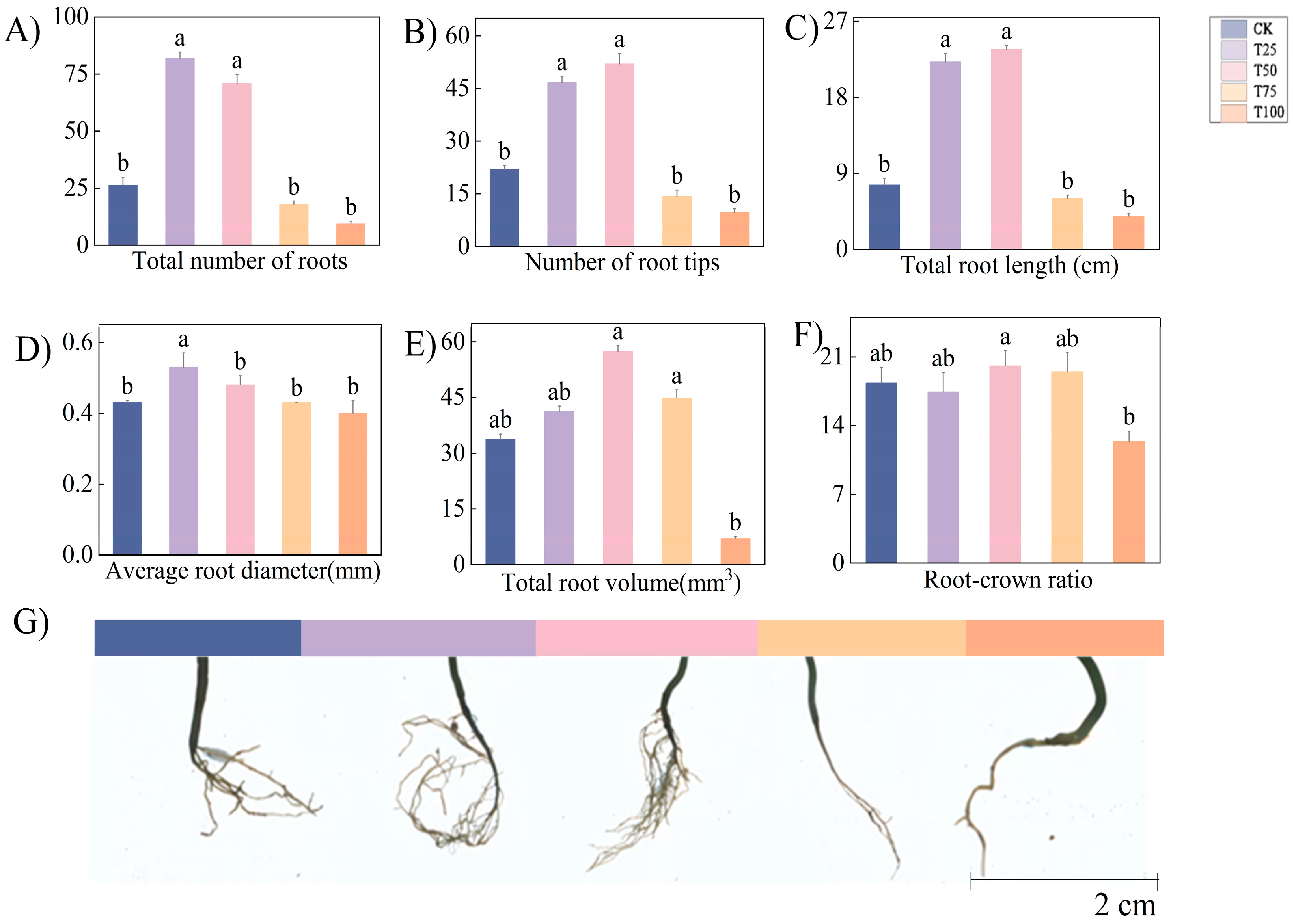 Biology 14 01633 g003 Biology 14 01633 g003