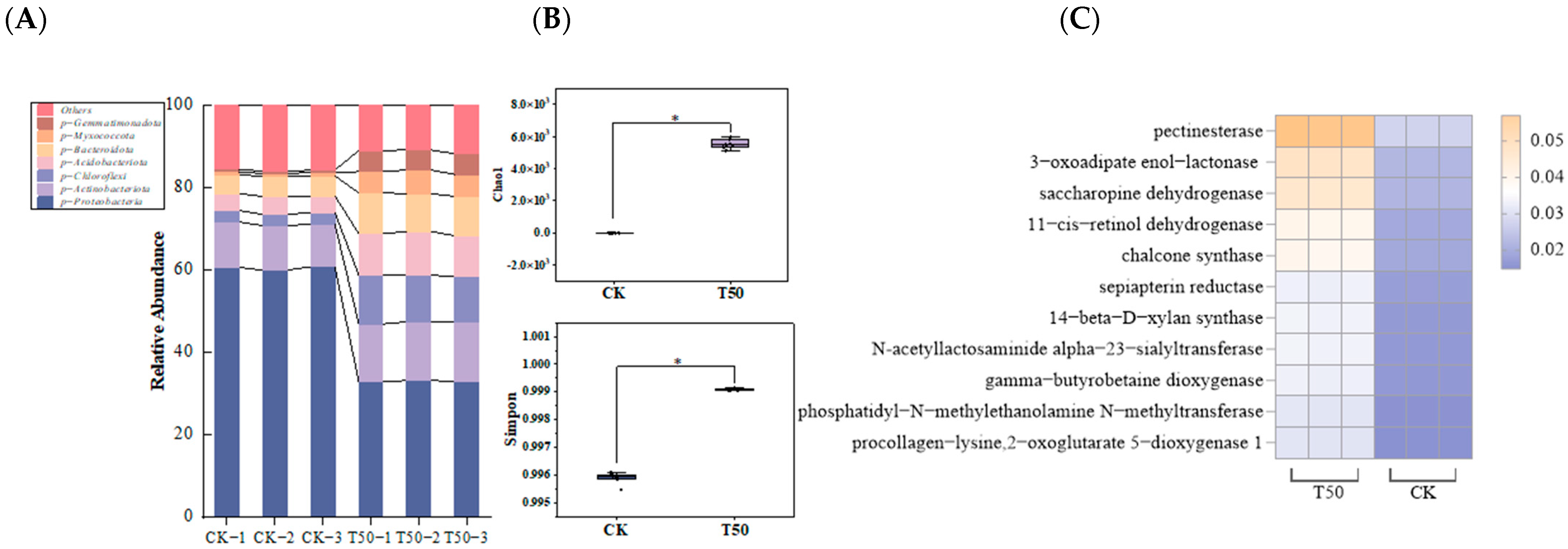 Biology 14 01633 g009 Biology 14 01633 g009