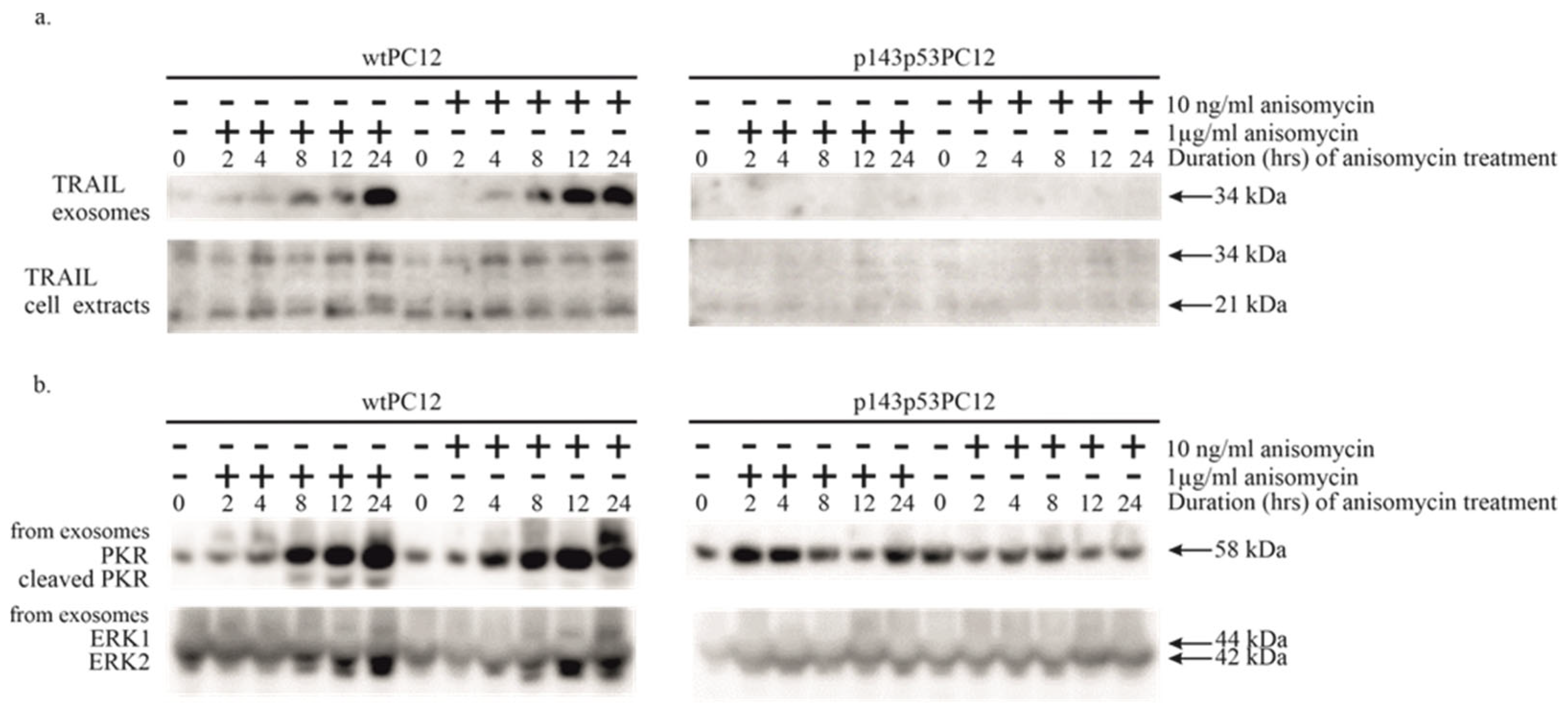 Biology 14 01634 g003 Biology 14 01634 g003