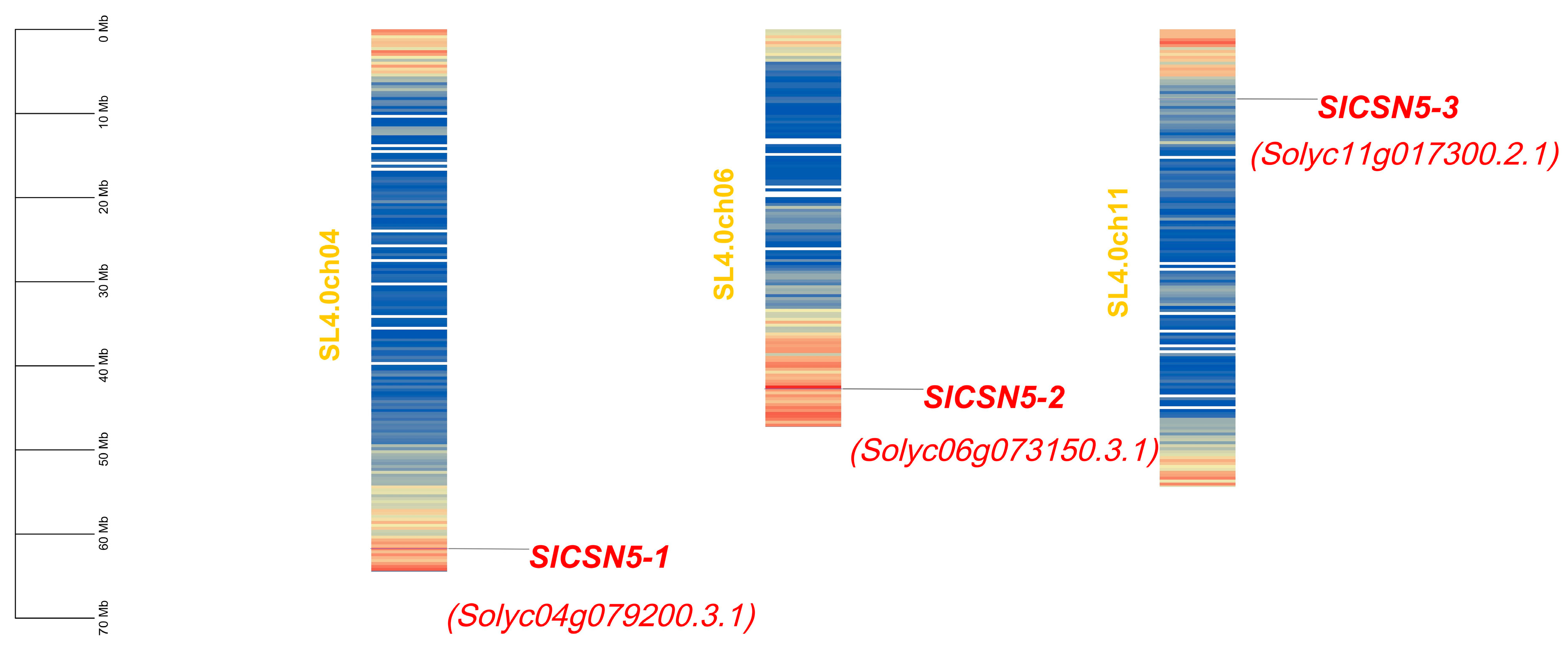 Biology 14 01635 g001