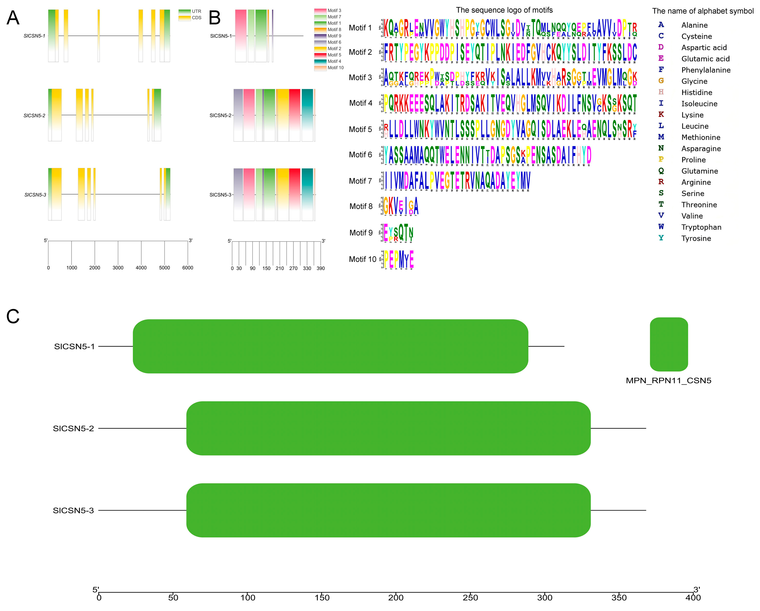 Biology 14 01635 g002
