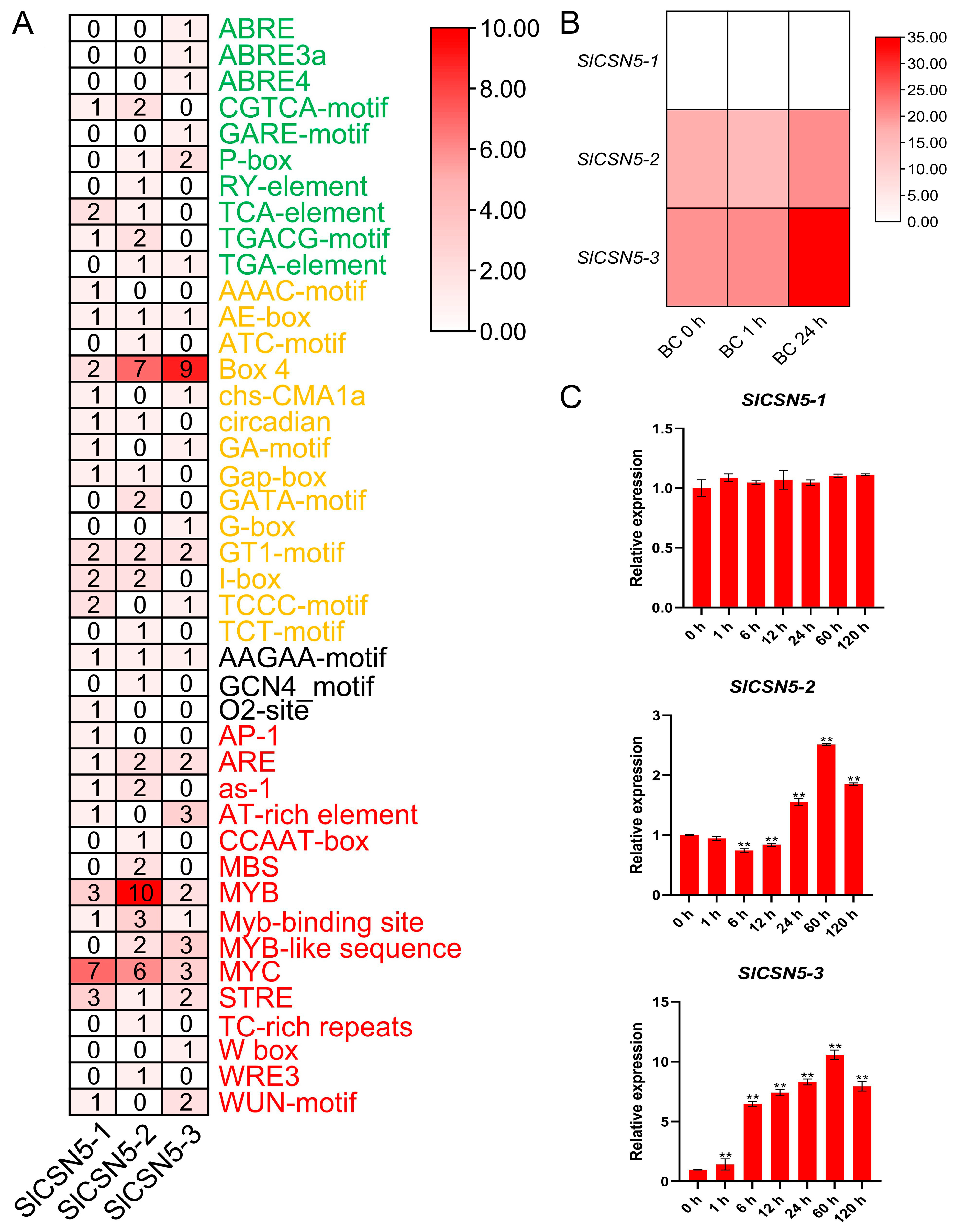 Biology 14 01635 g004