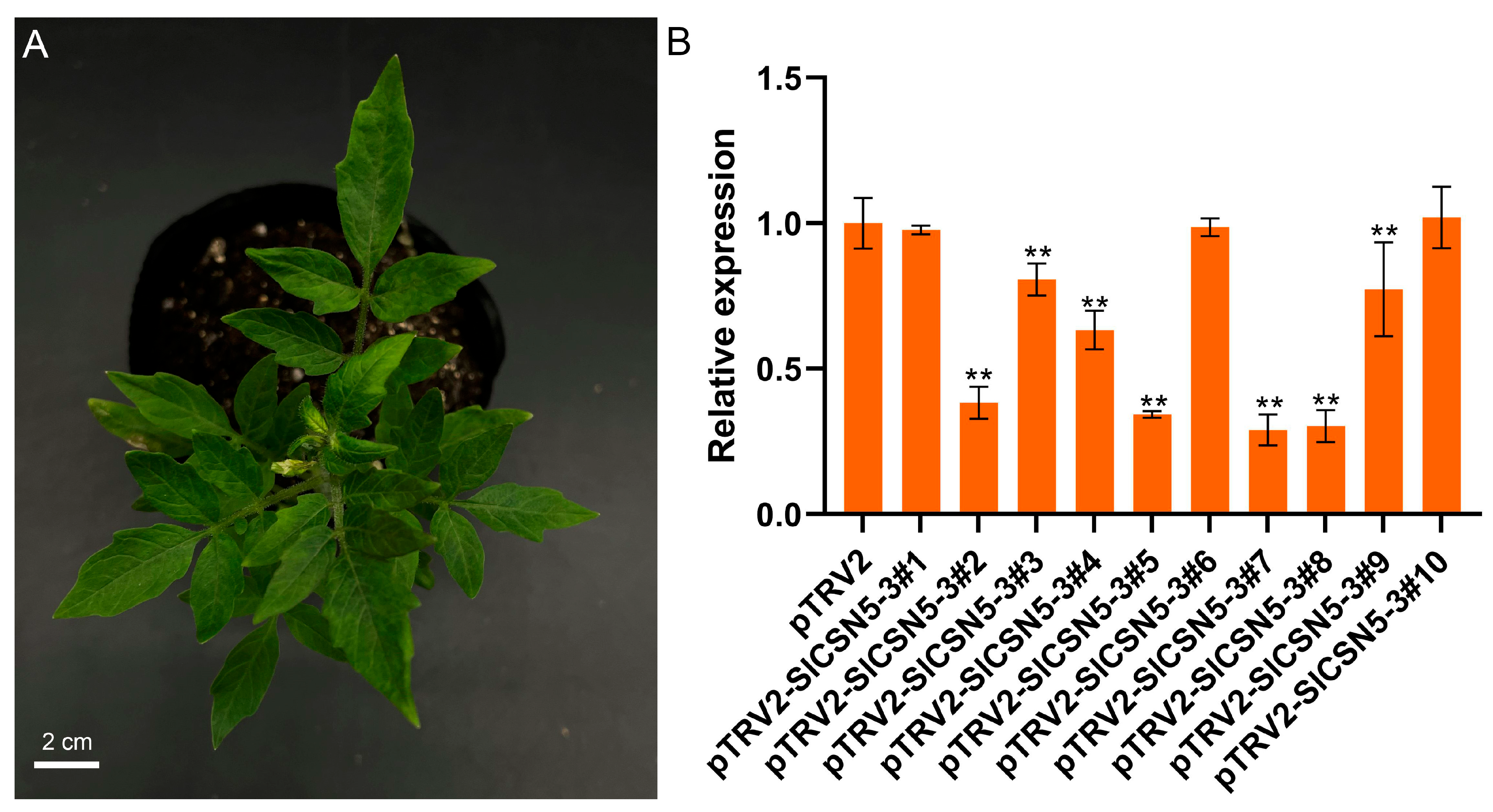 Biology 14 01635 g005