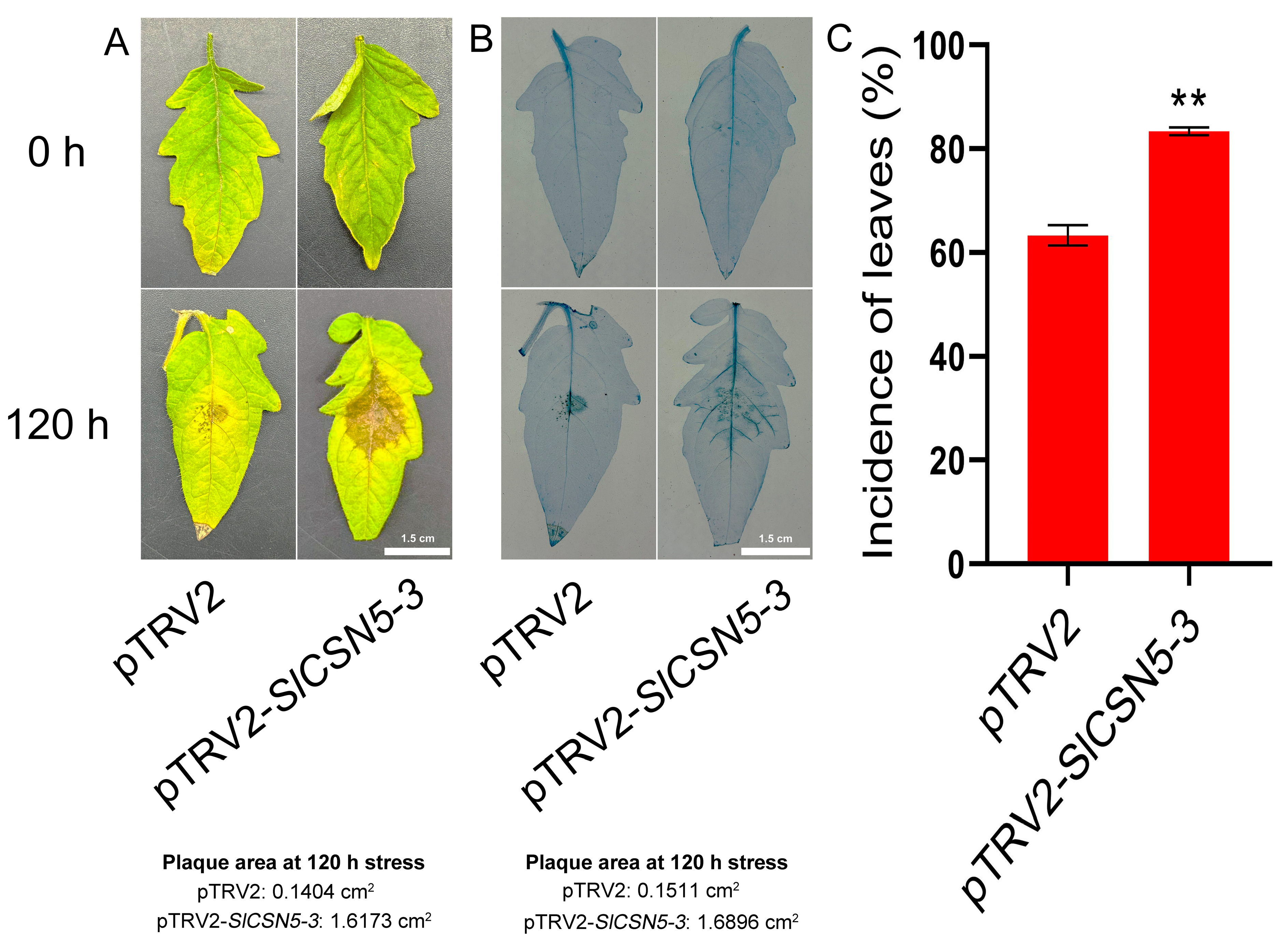 Biology 14 01635 g006