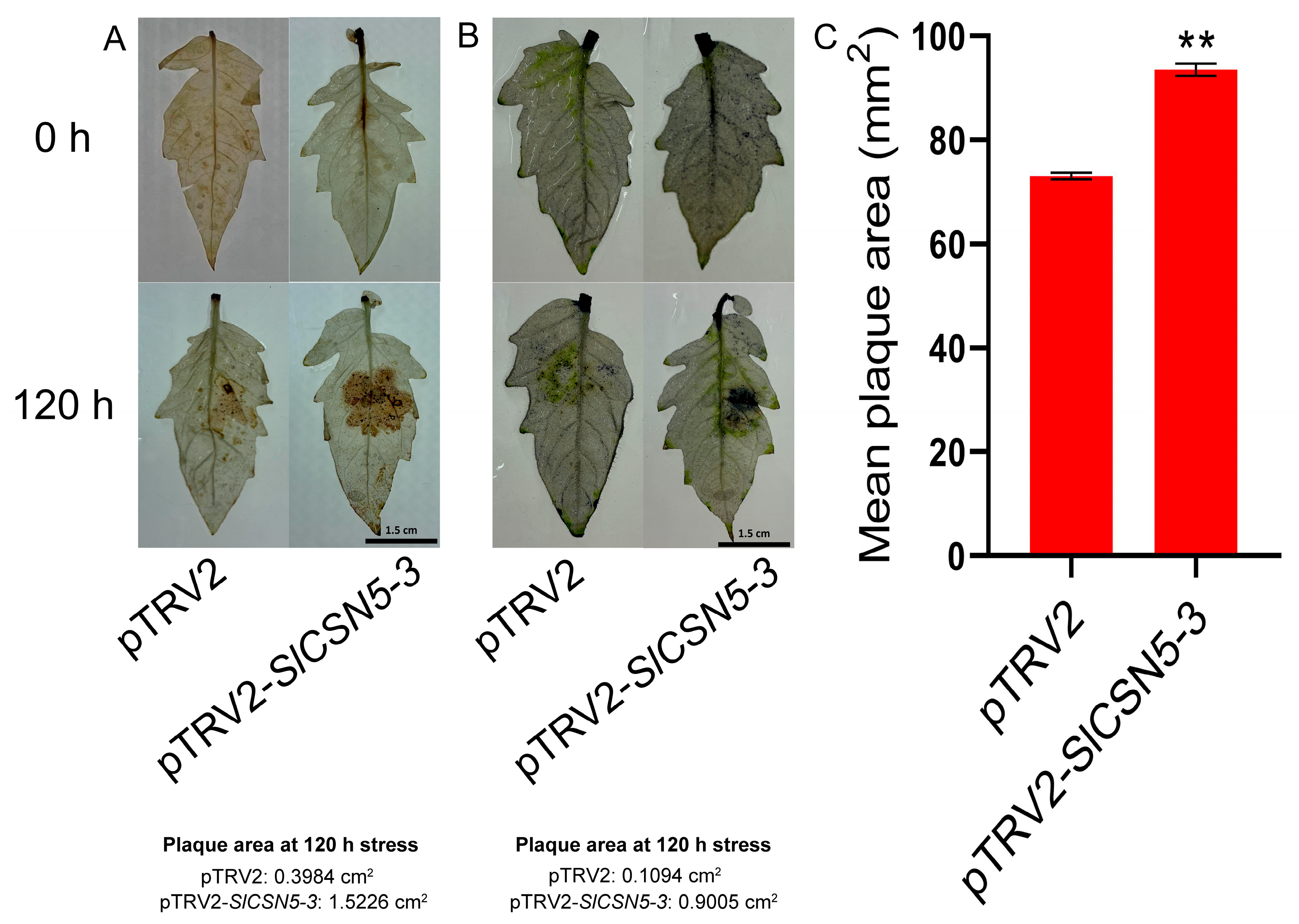 Biology 14 01635 g007