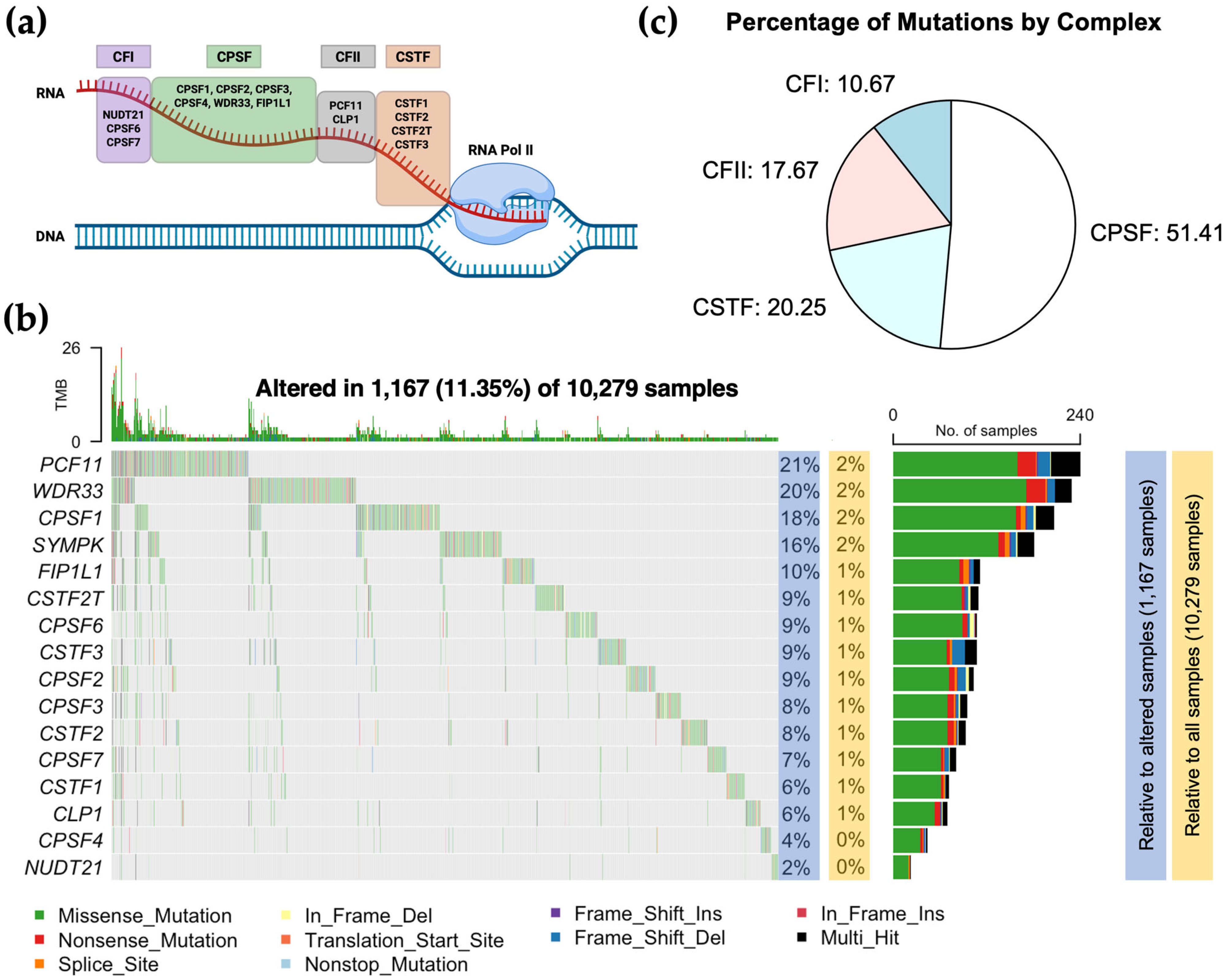 Biology 14 01637 g001