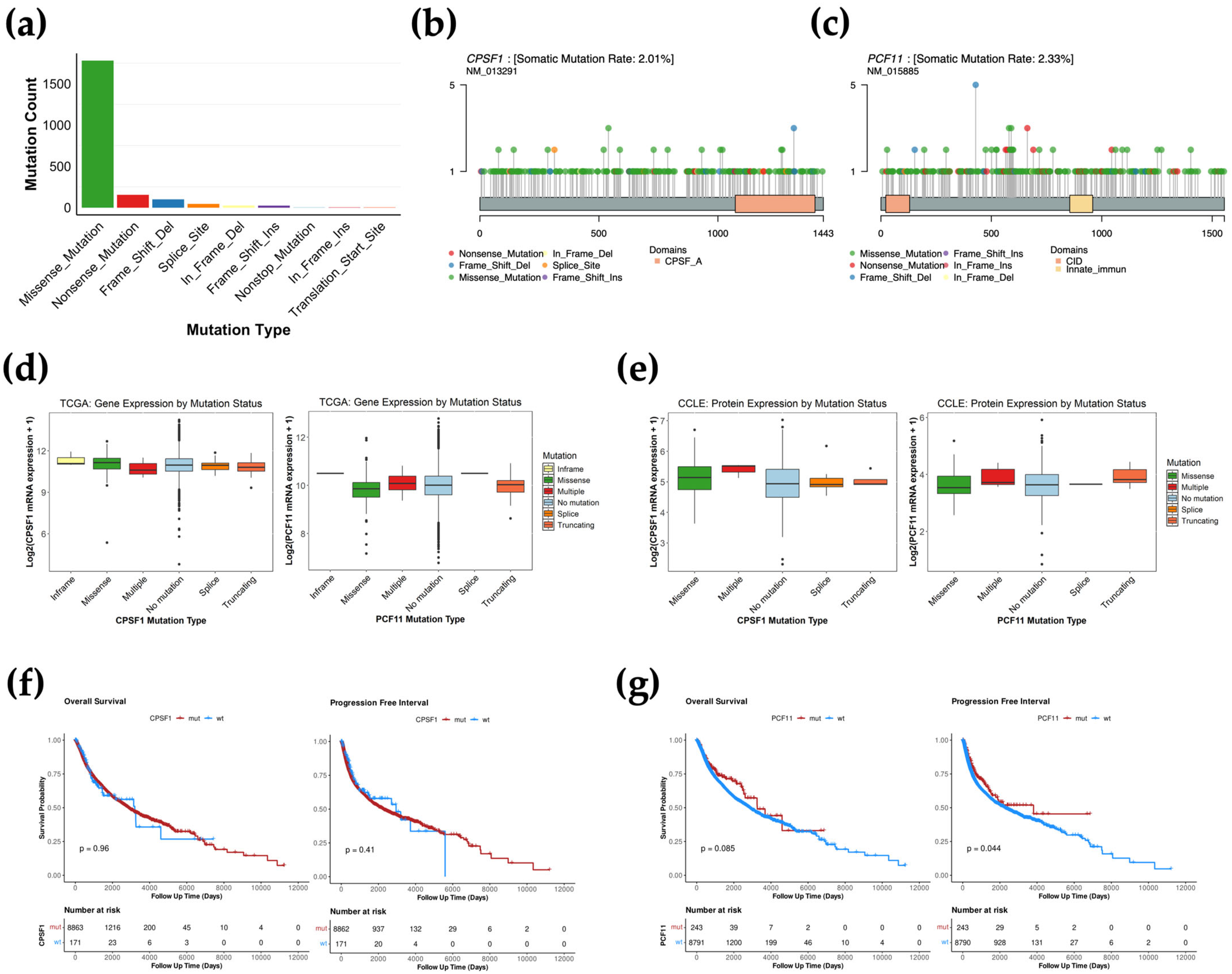 Biology 14 01637 g002