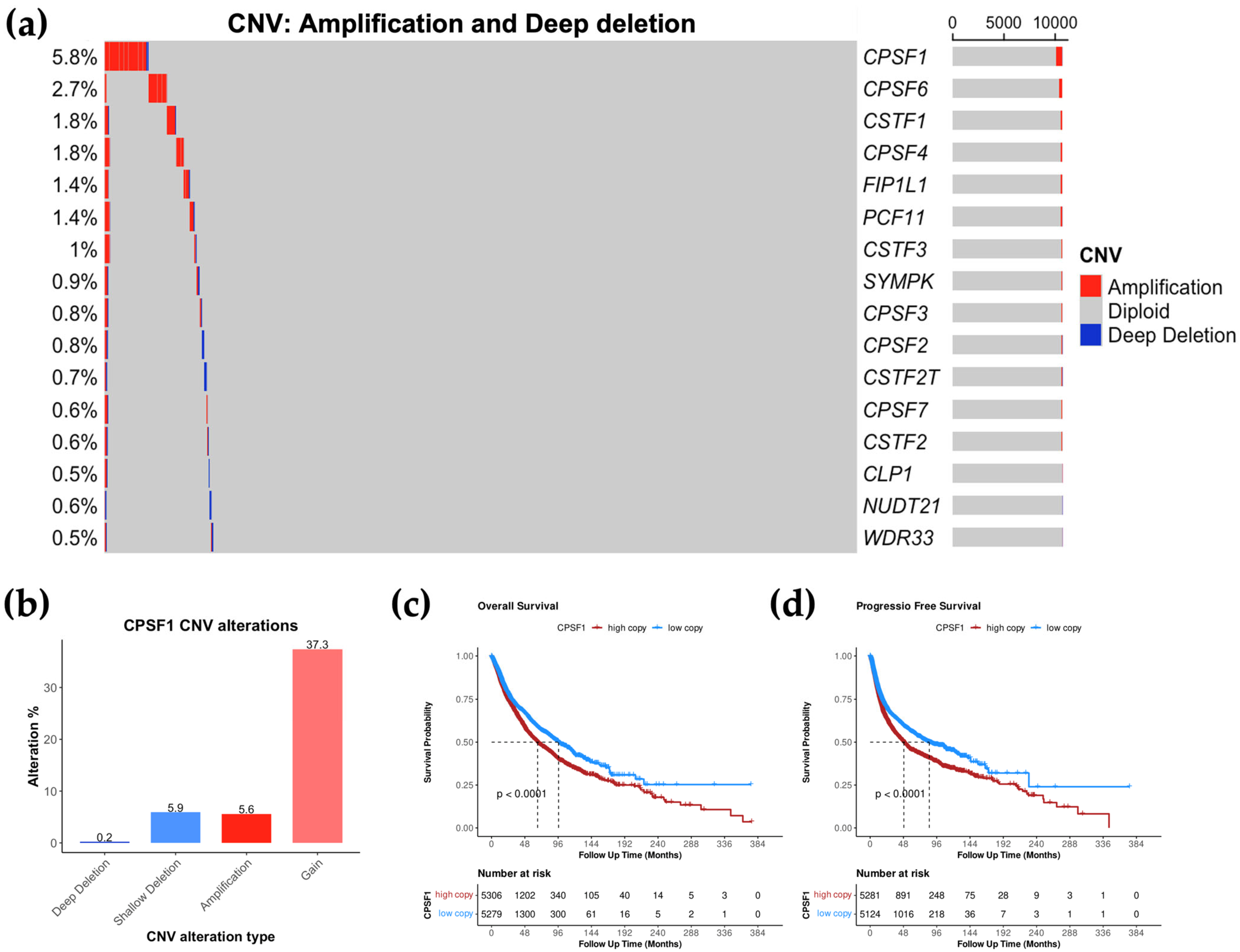 Biology 14 01637 g003