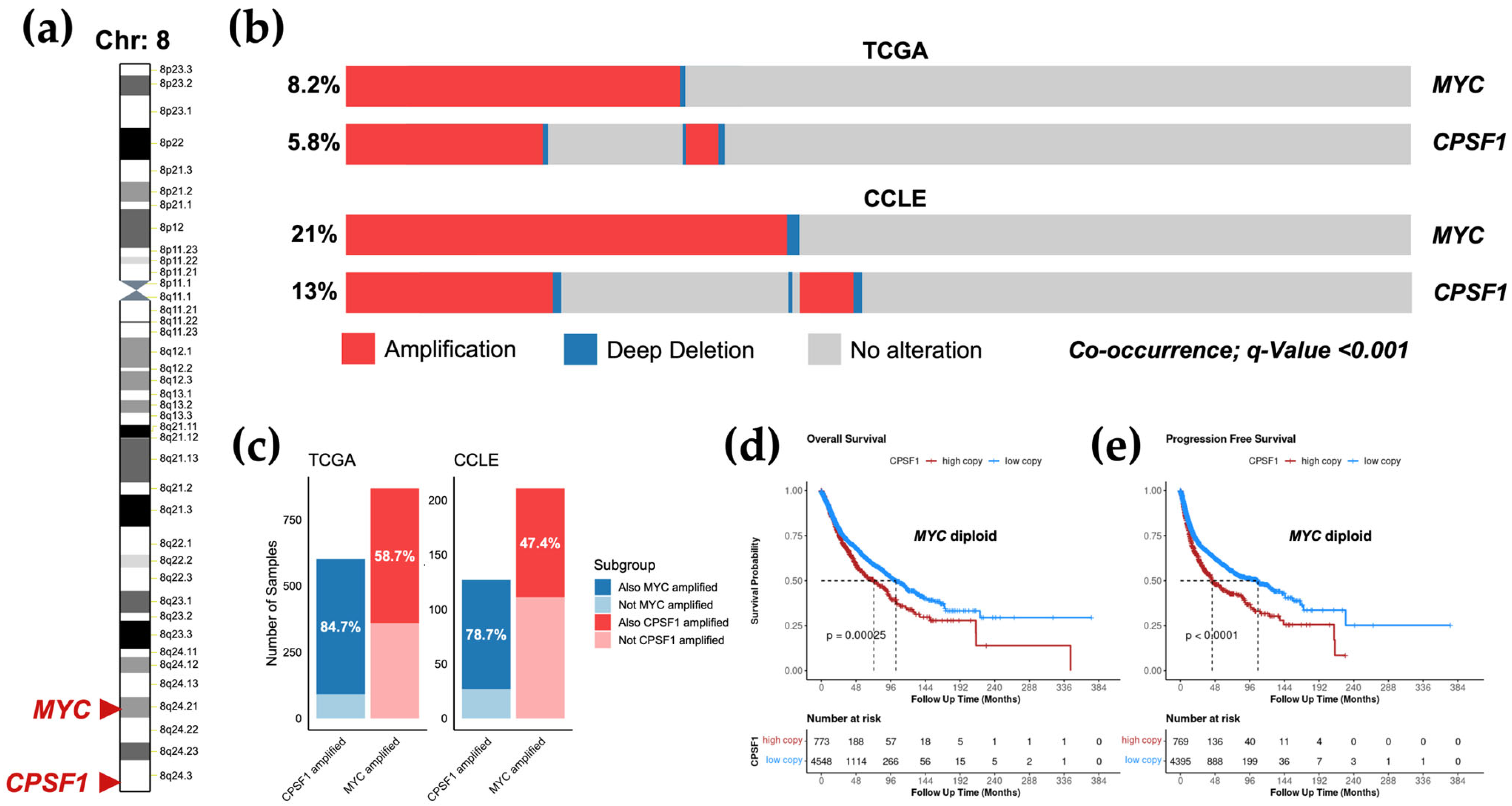 Biology 14 01637 g004