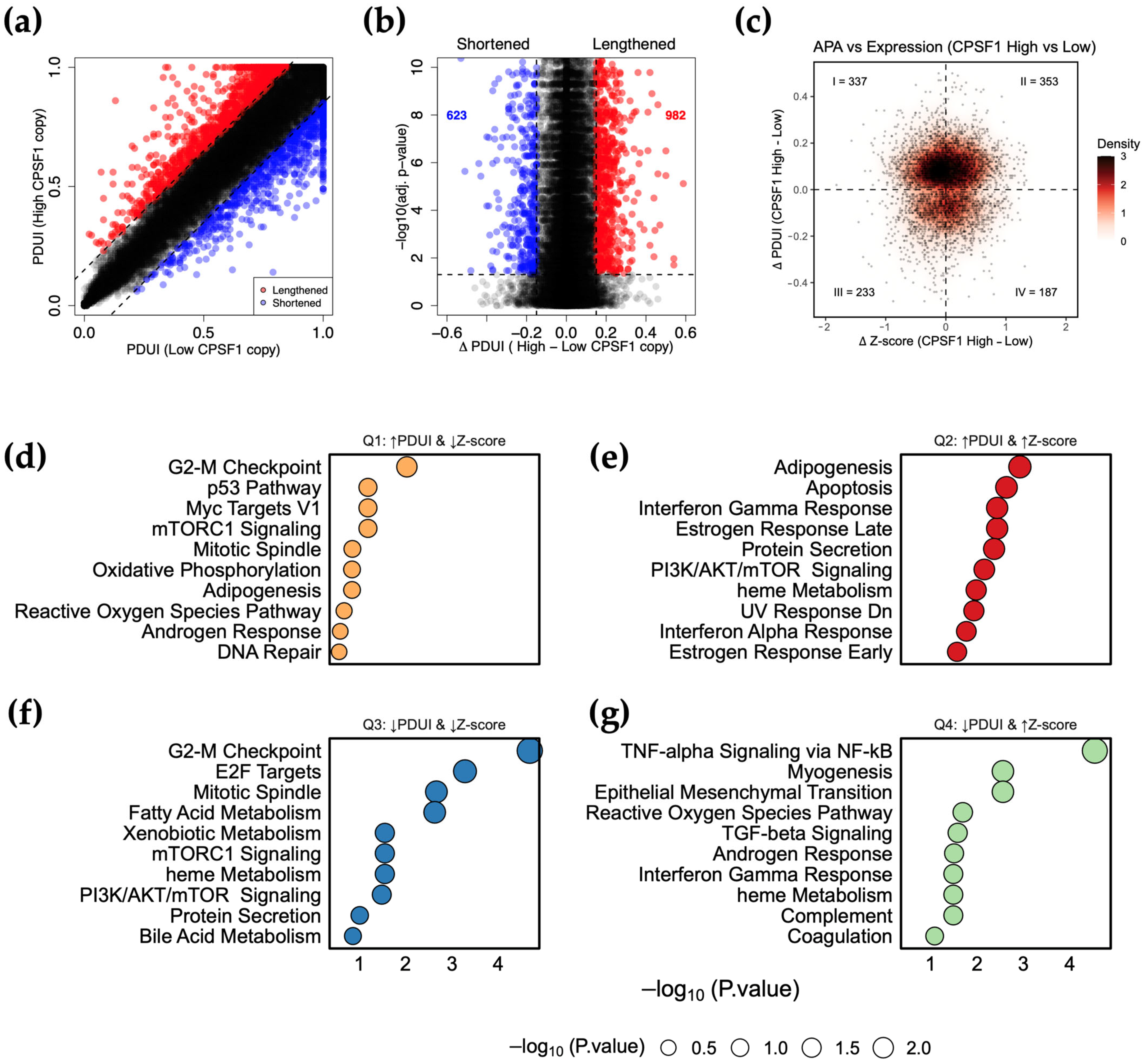 Biology 14 01637 g005