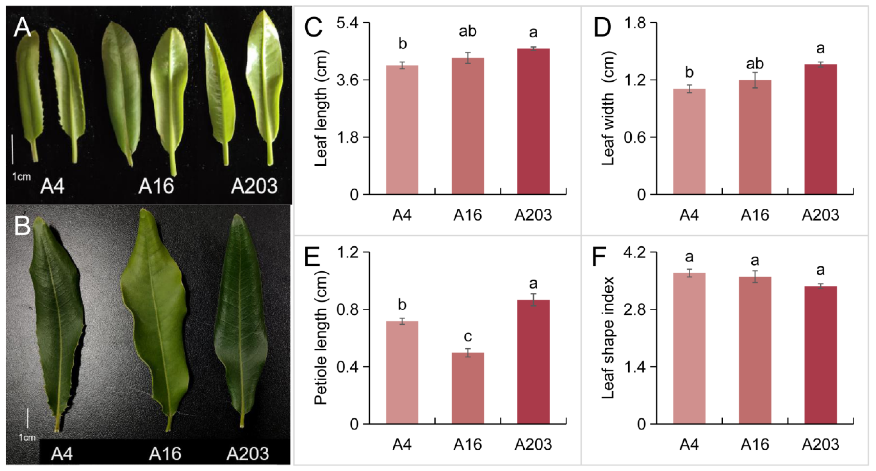 Biology 14 01638 g001