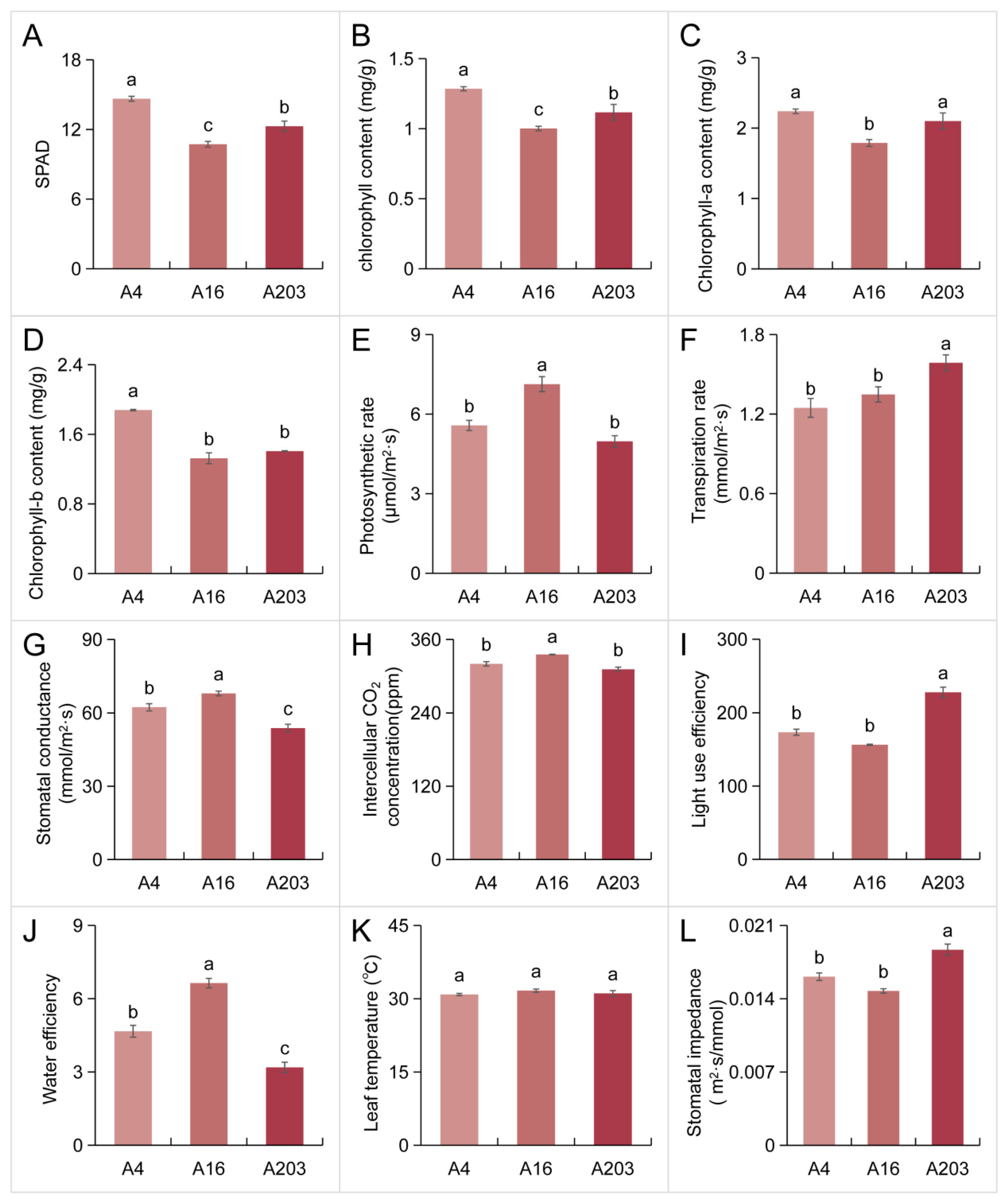 Biology 14 01638 g002