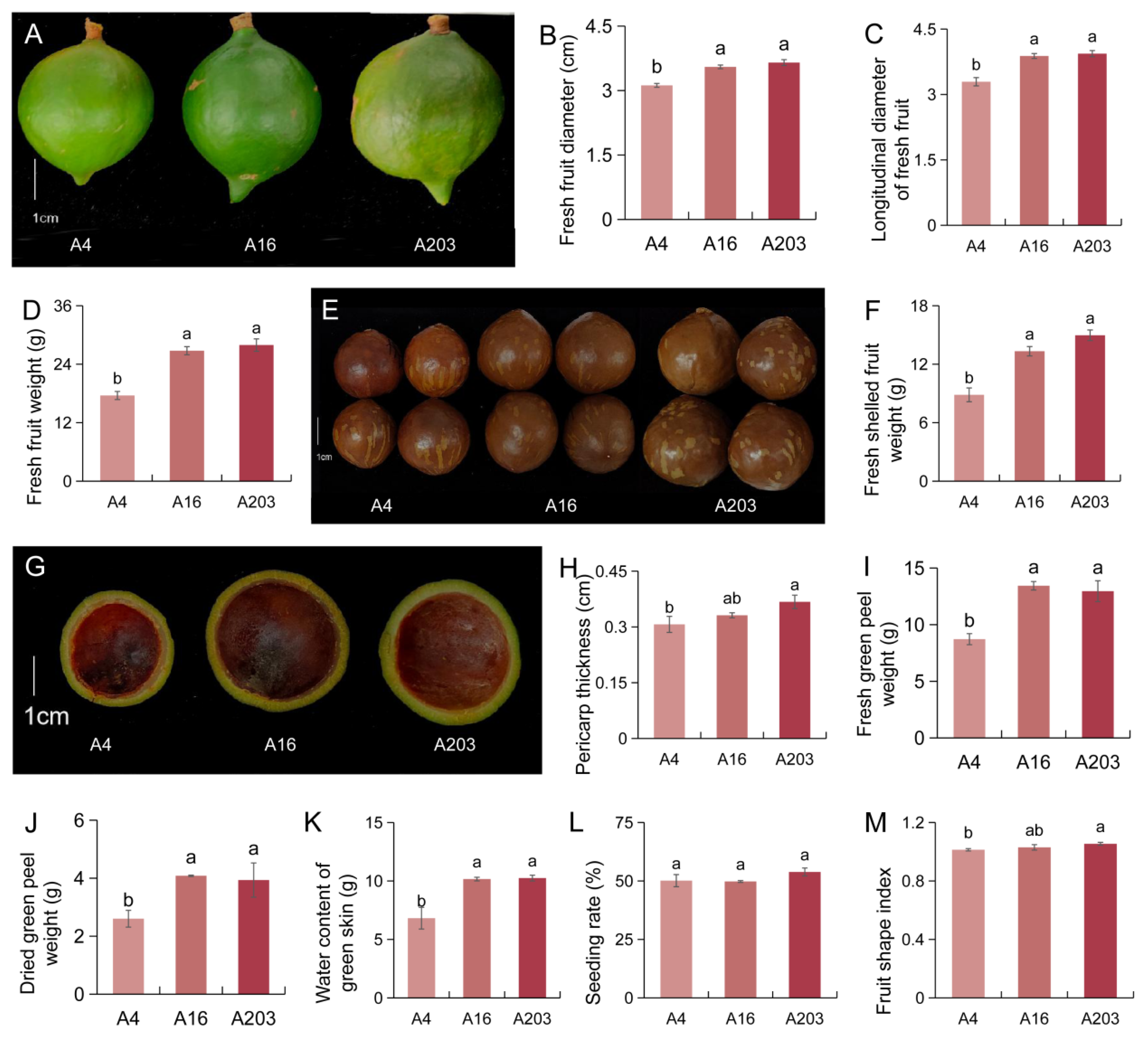 Biology 14 01638 g005