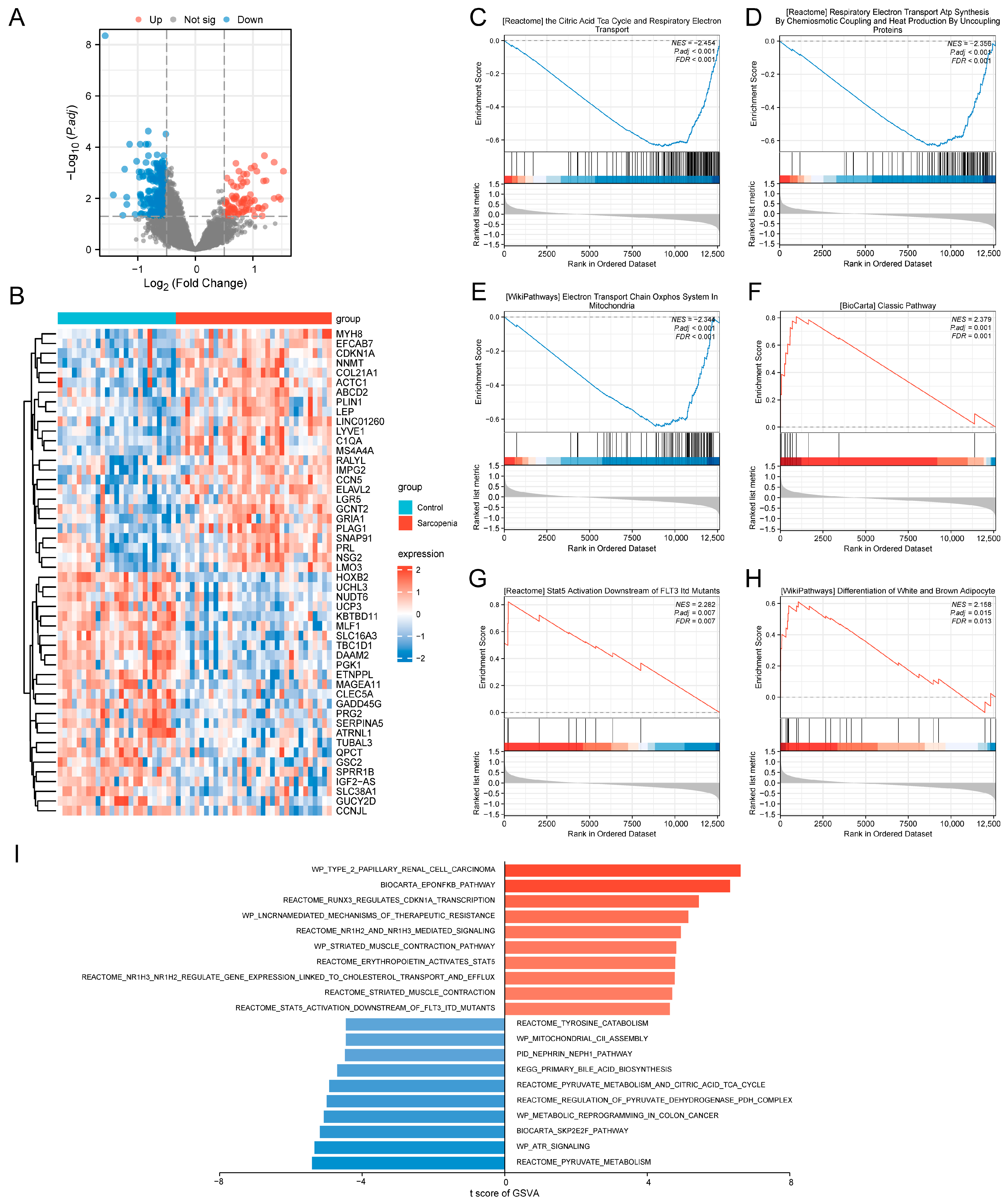 Biology 14 01642 g003