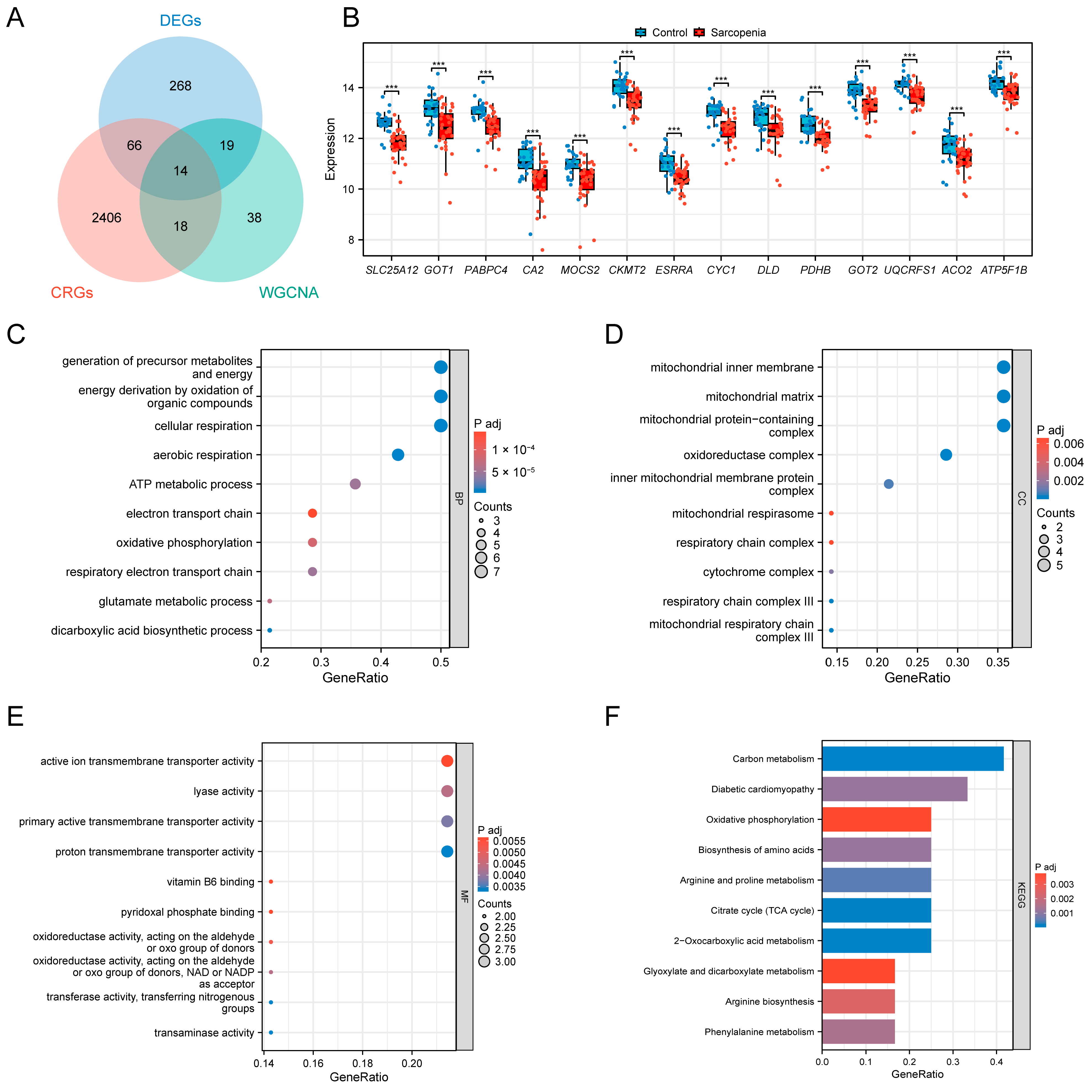 Biology 14 01642 g005