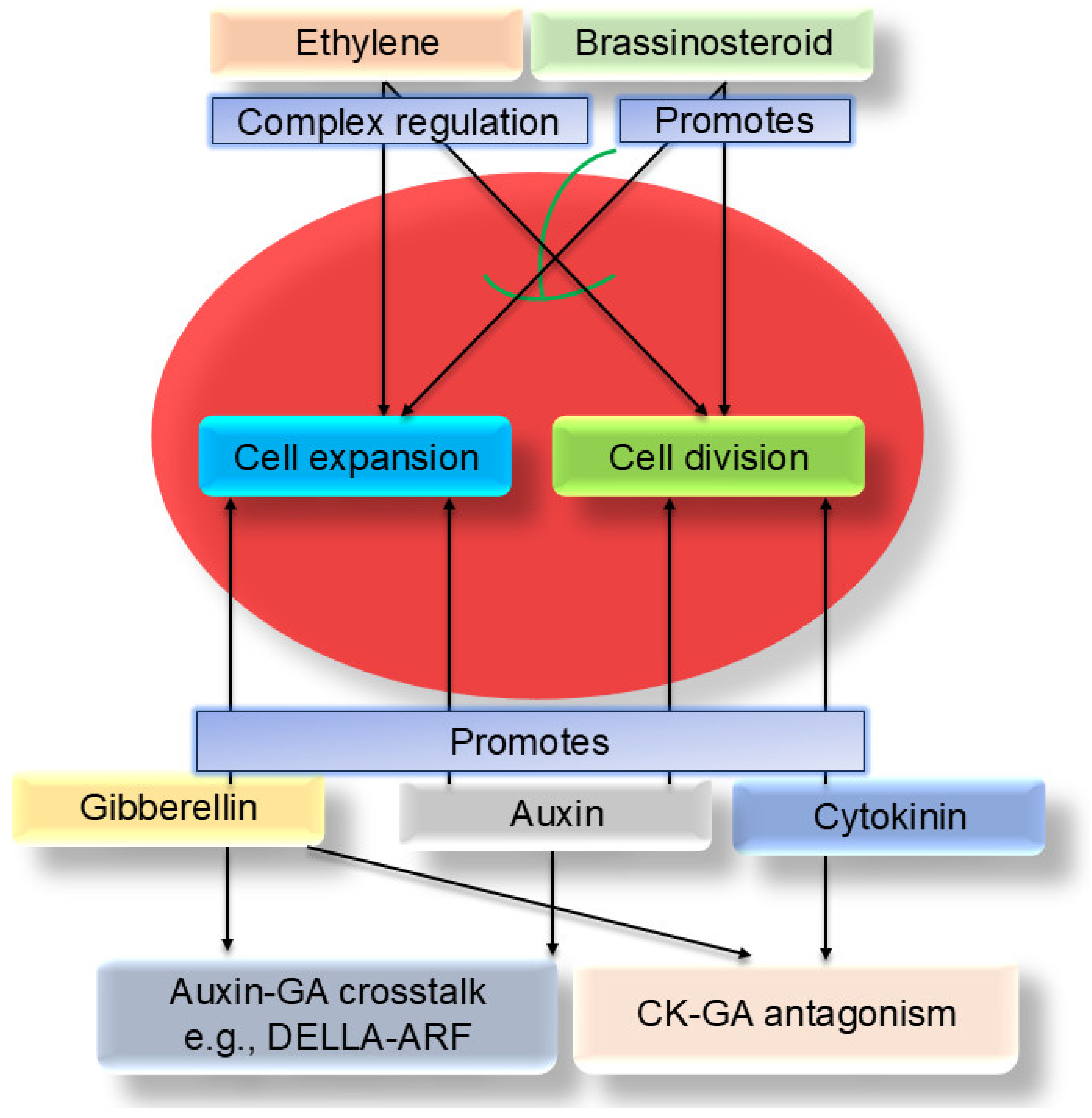Biology 14 01643 g001
