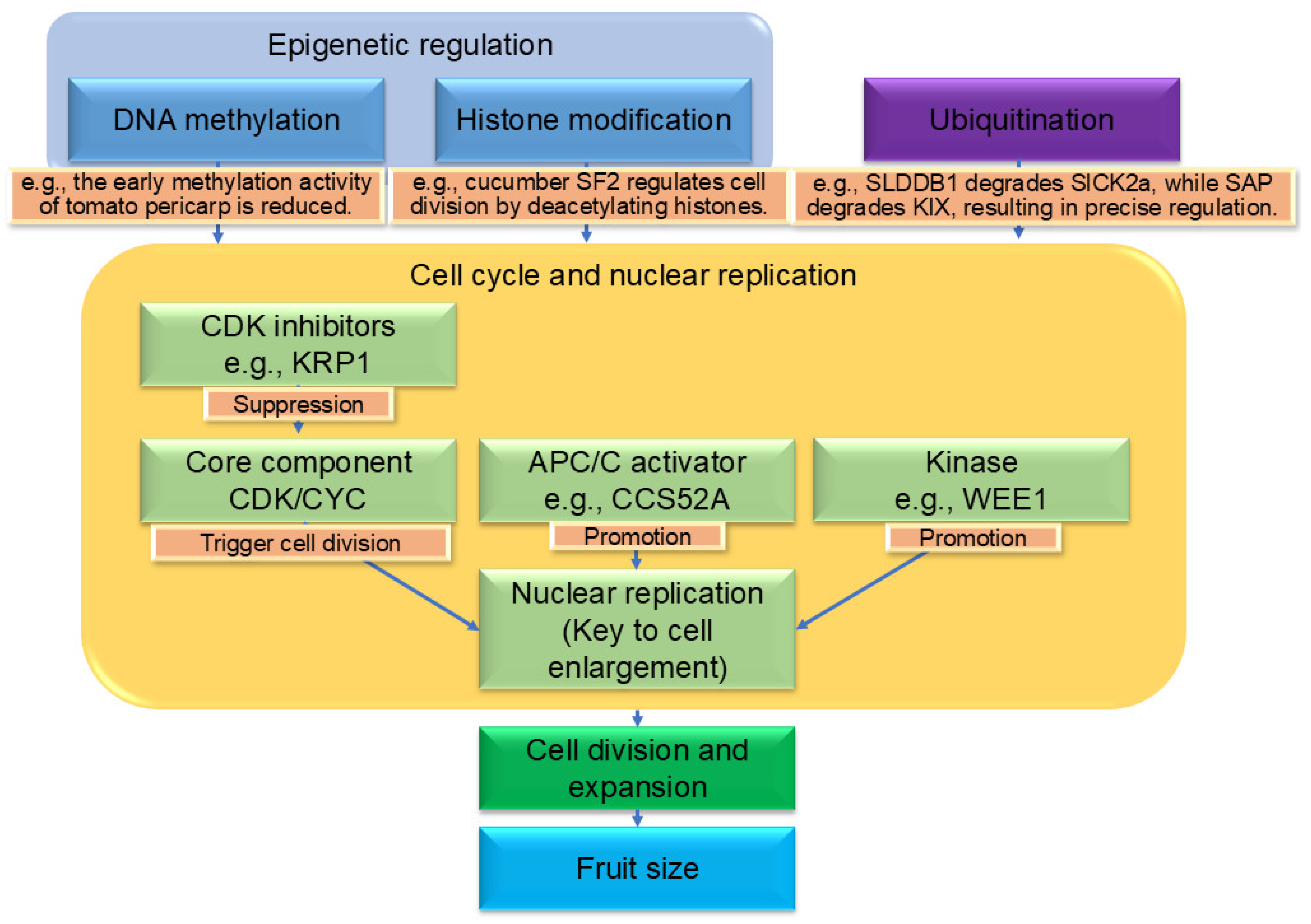 Biology 14 01643 g002