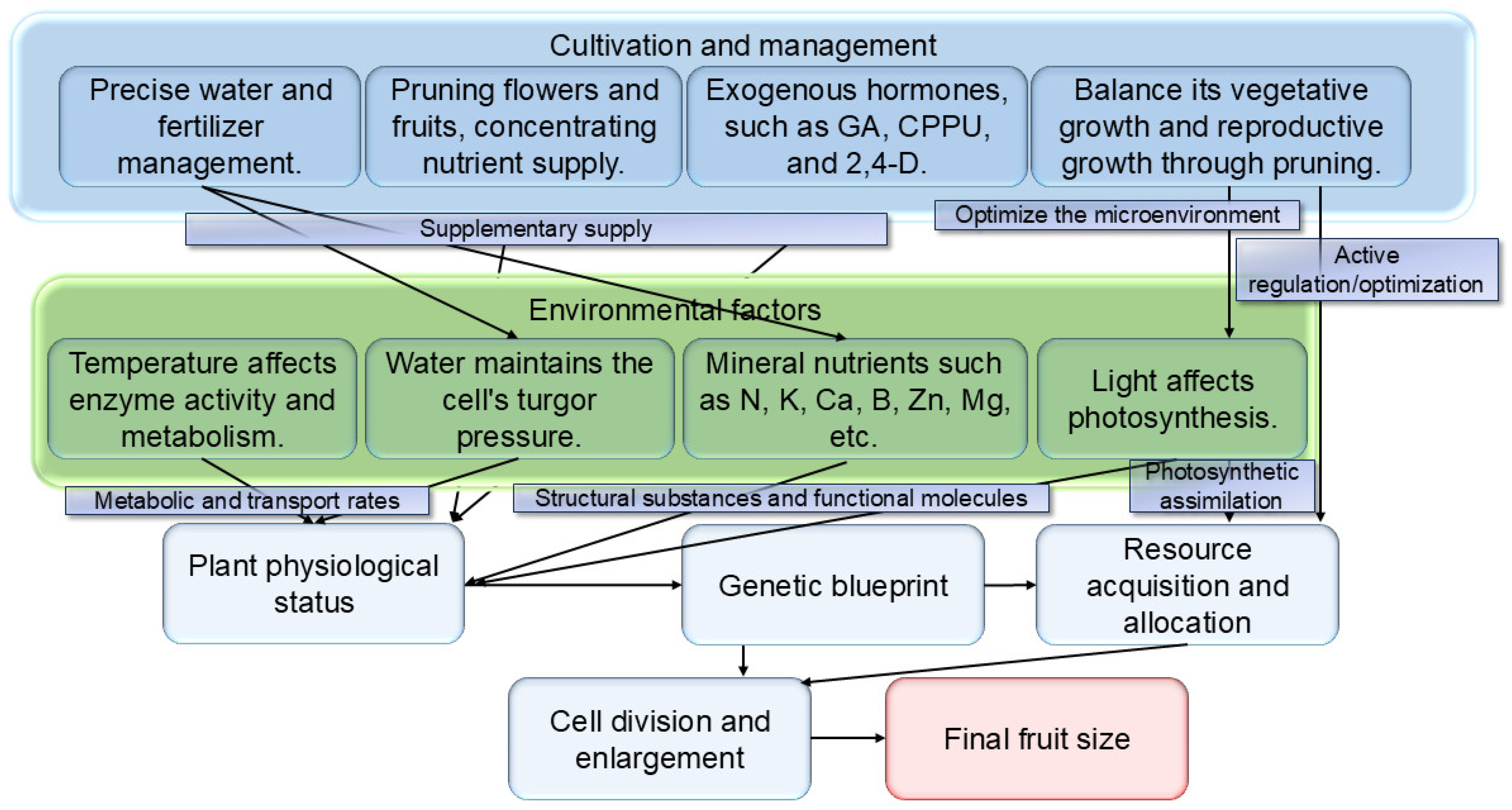 Biology 14 01643 g003