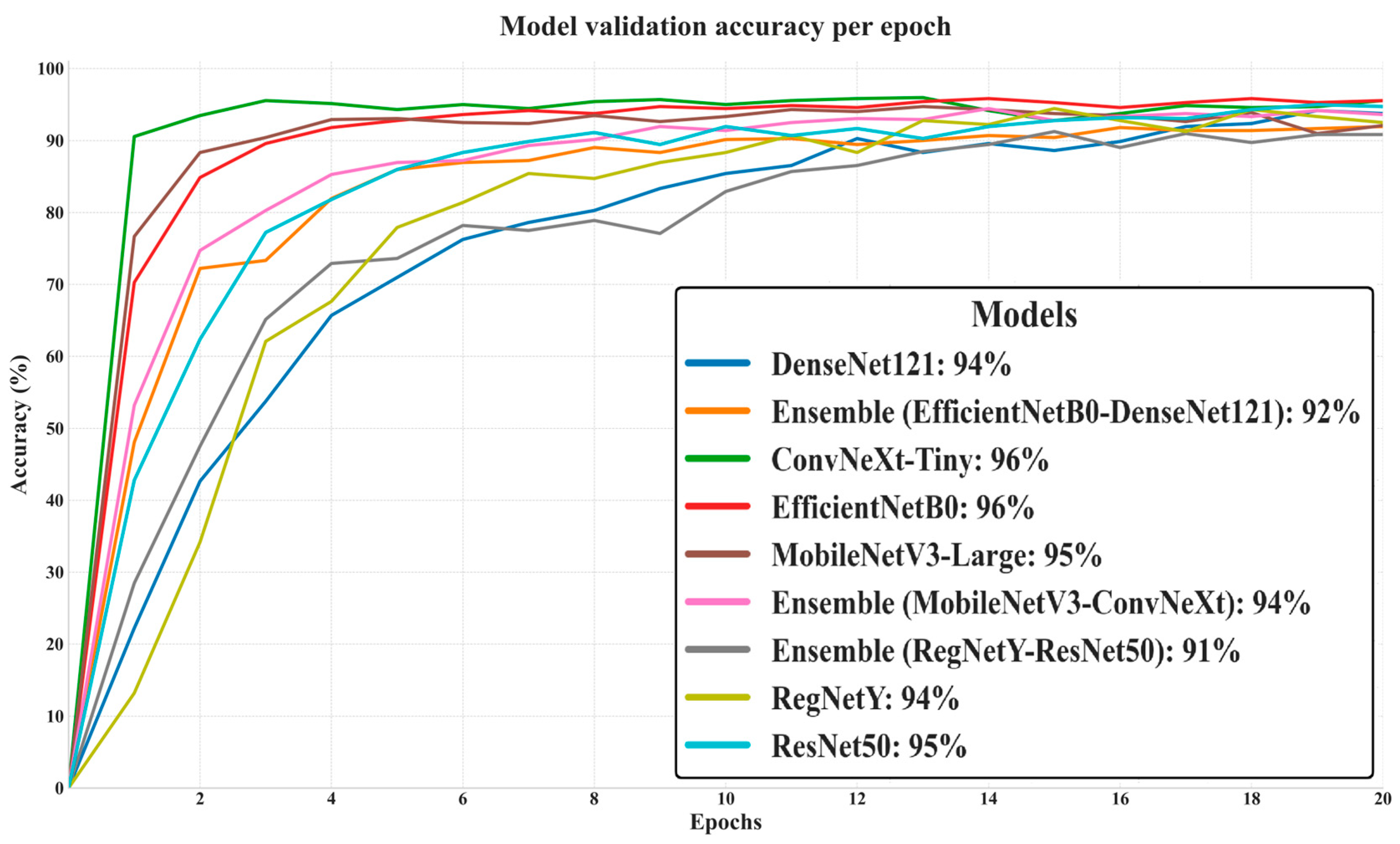 Biology 14 01644 g006
