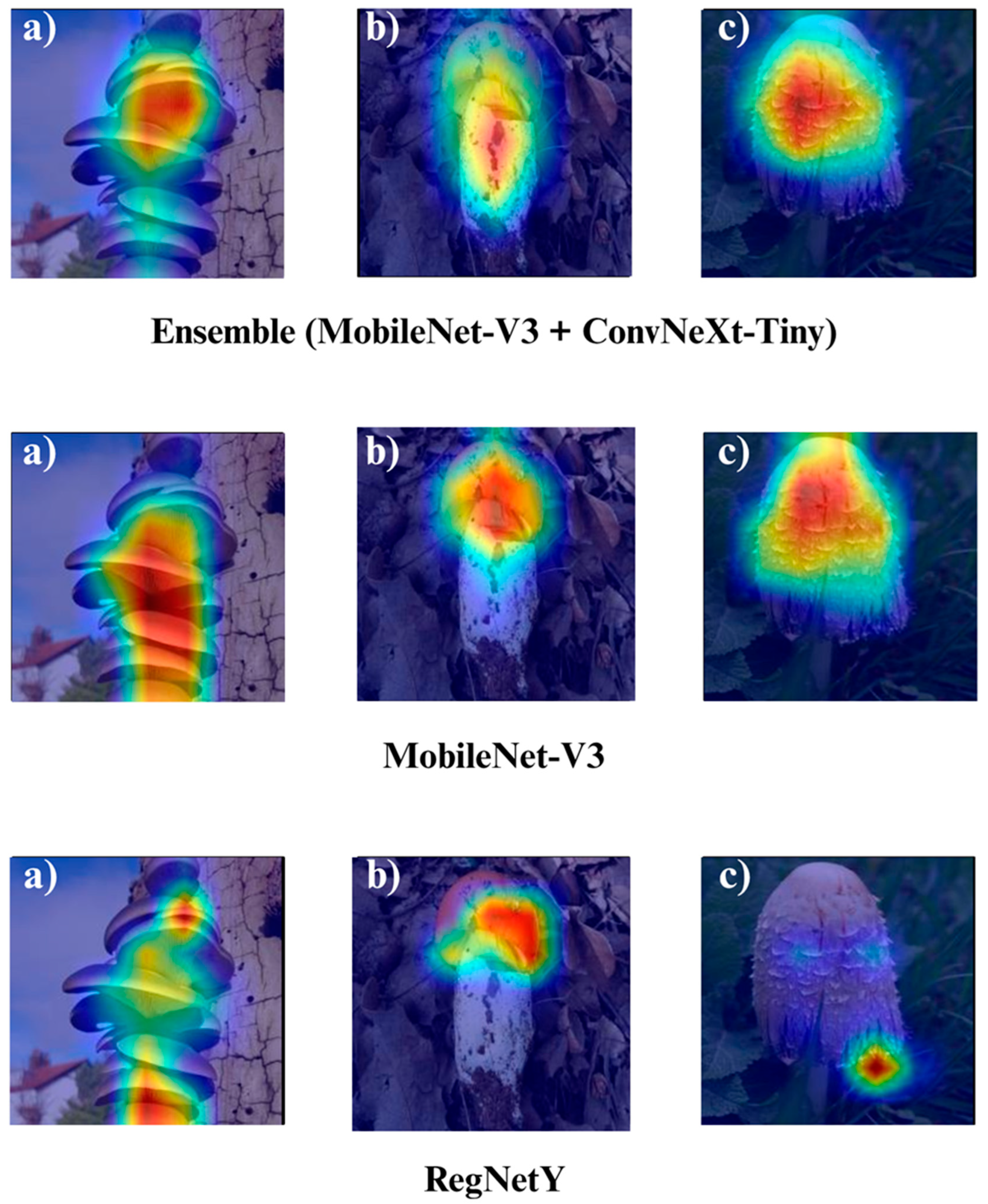 Biology 14 01644 g018