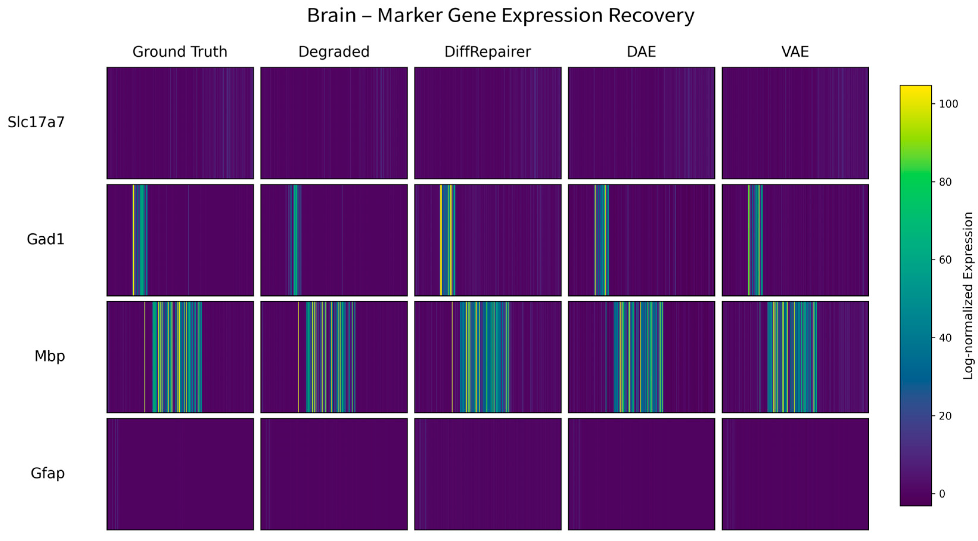 Biology 14 01652 g0a3