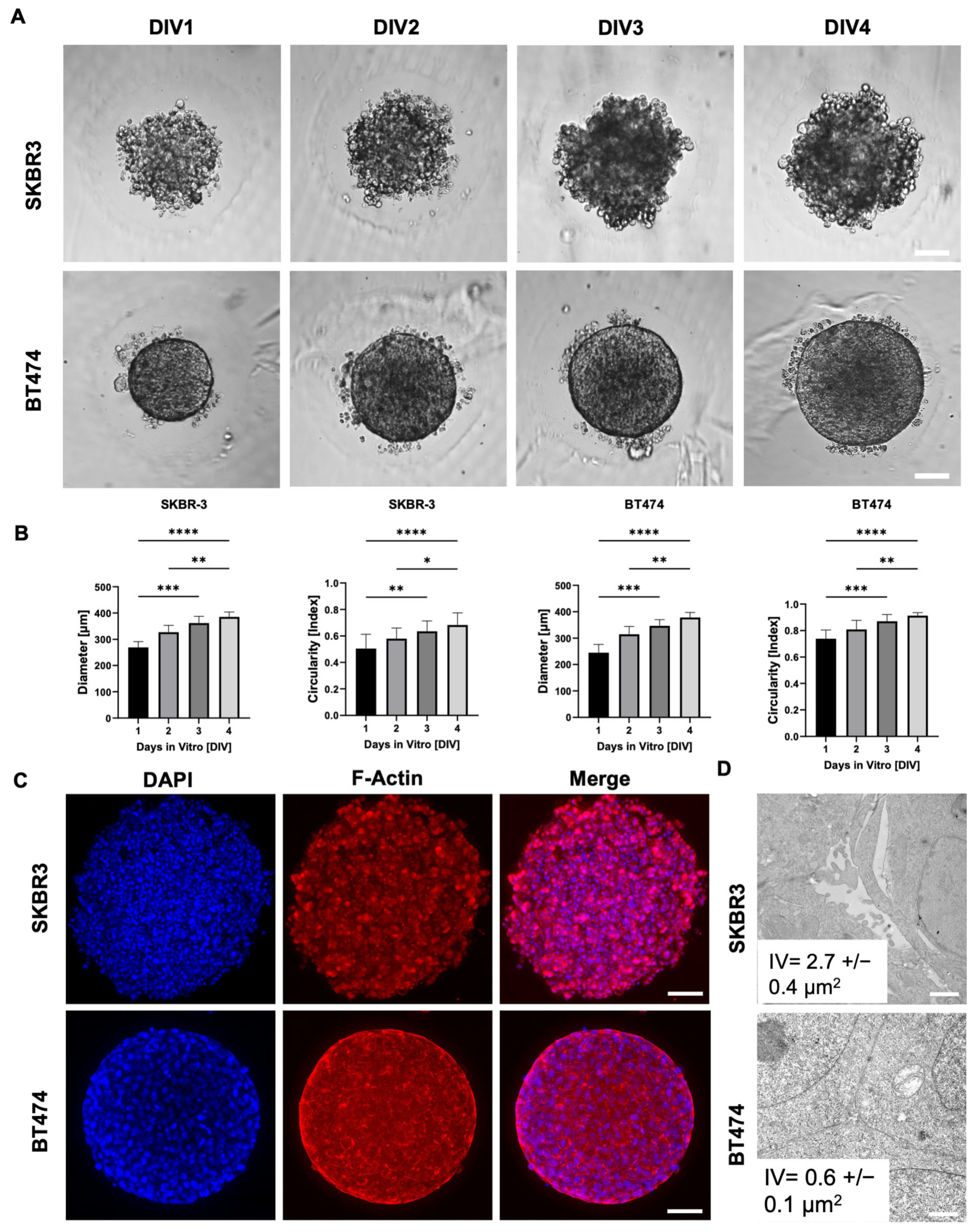 Biology 14 01654 g001