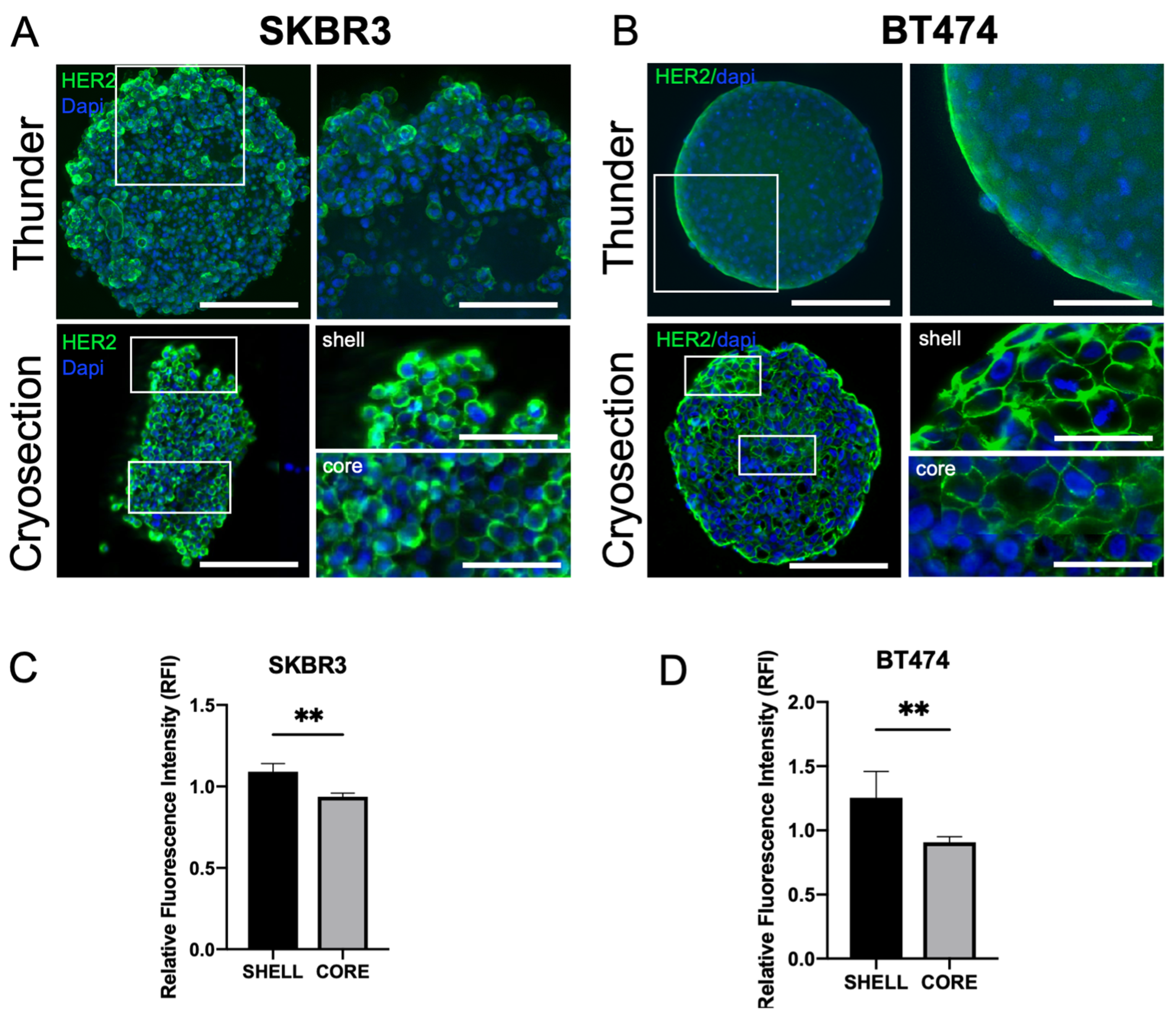 Biology 14 01654 g003