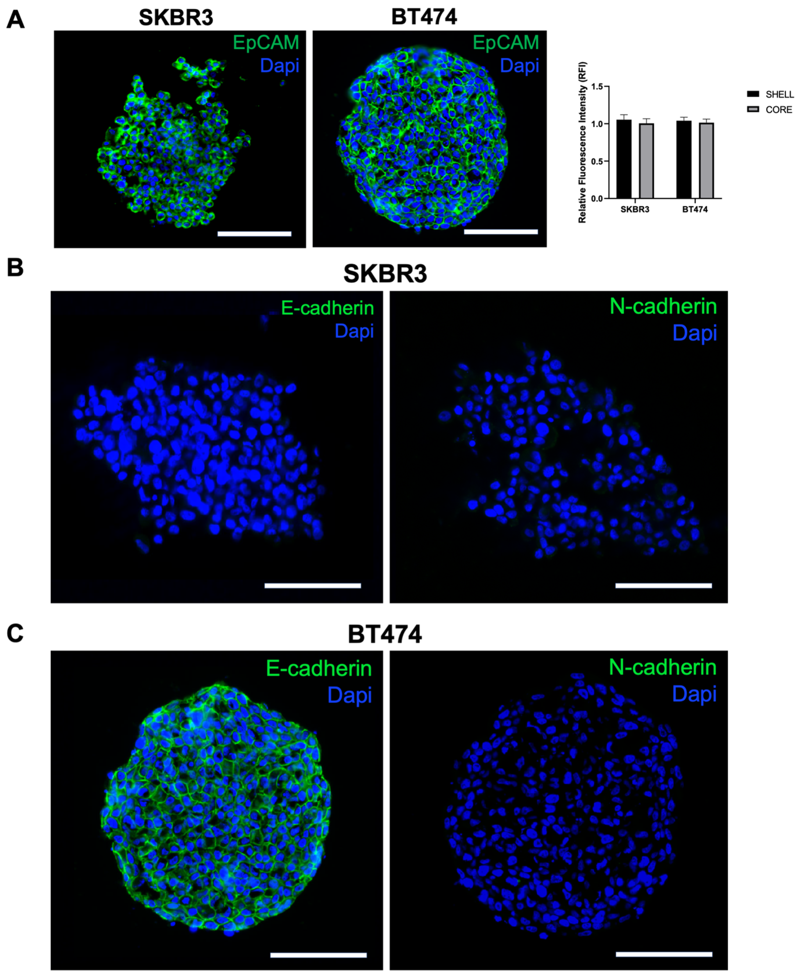 Biology 14 01654 g005