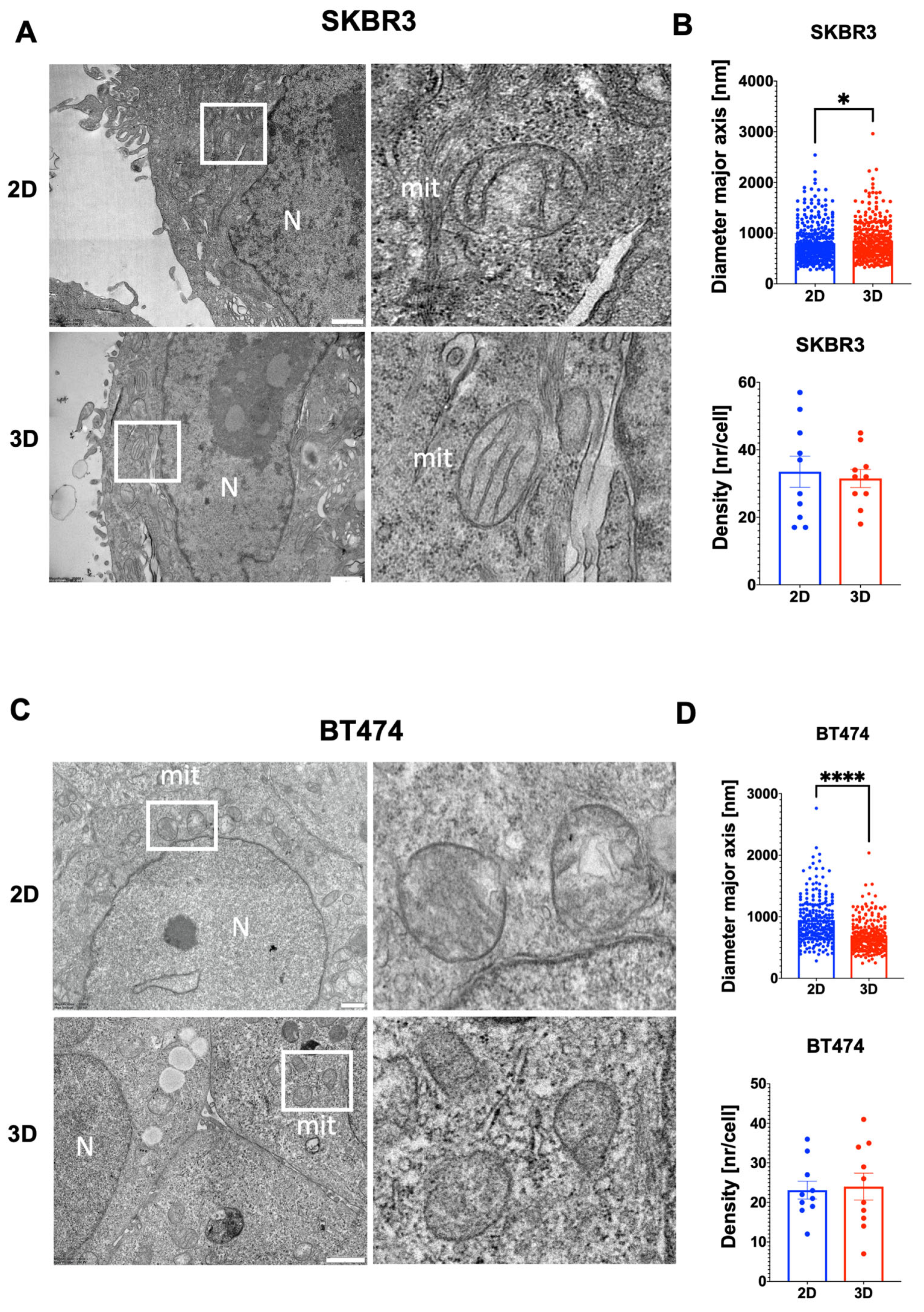 Biology 14 01654 g006