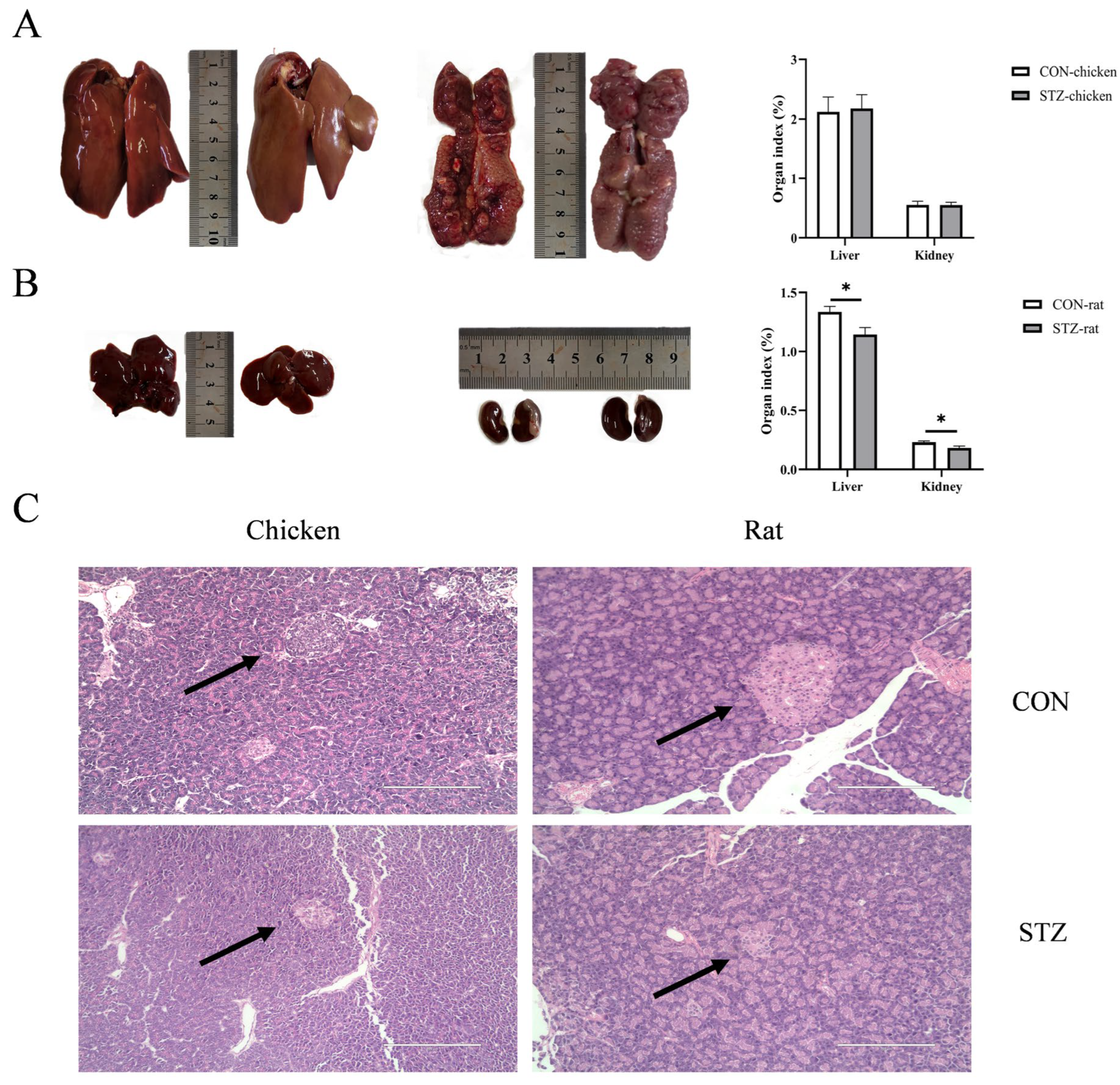 Biology 14 01657 g004