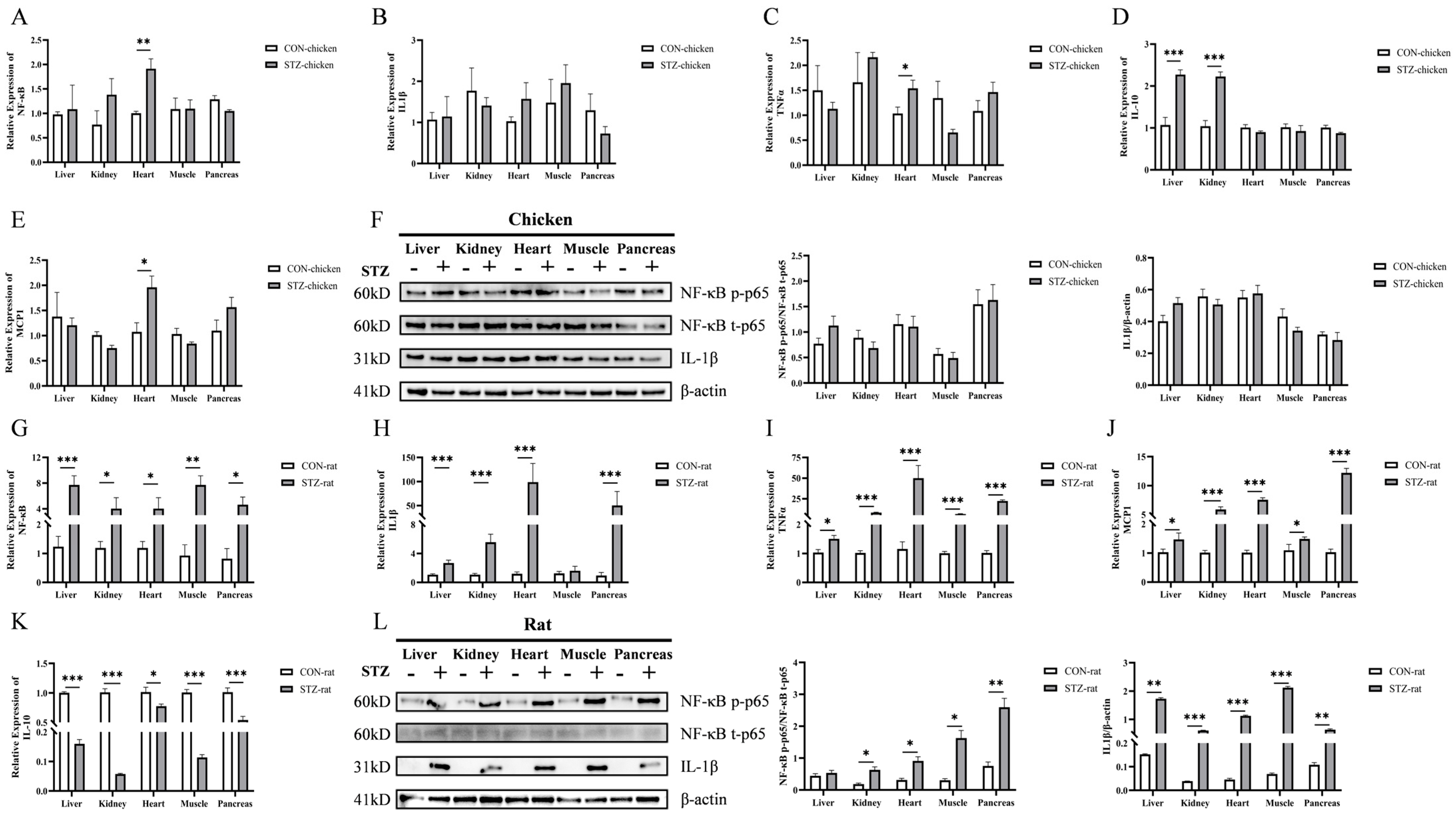 Biology 14 01657 g005