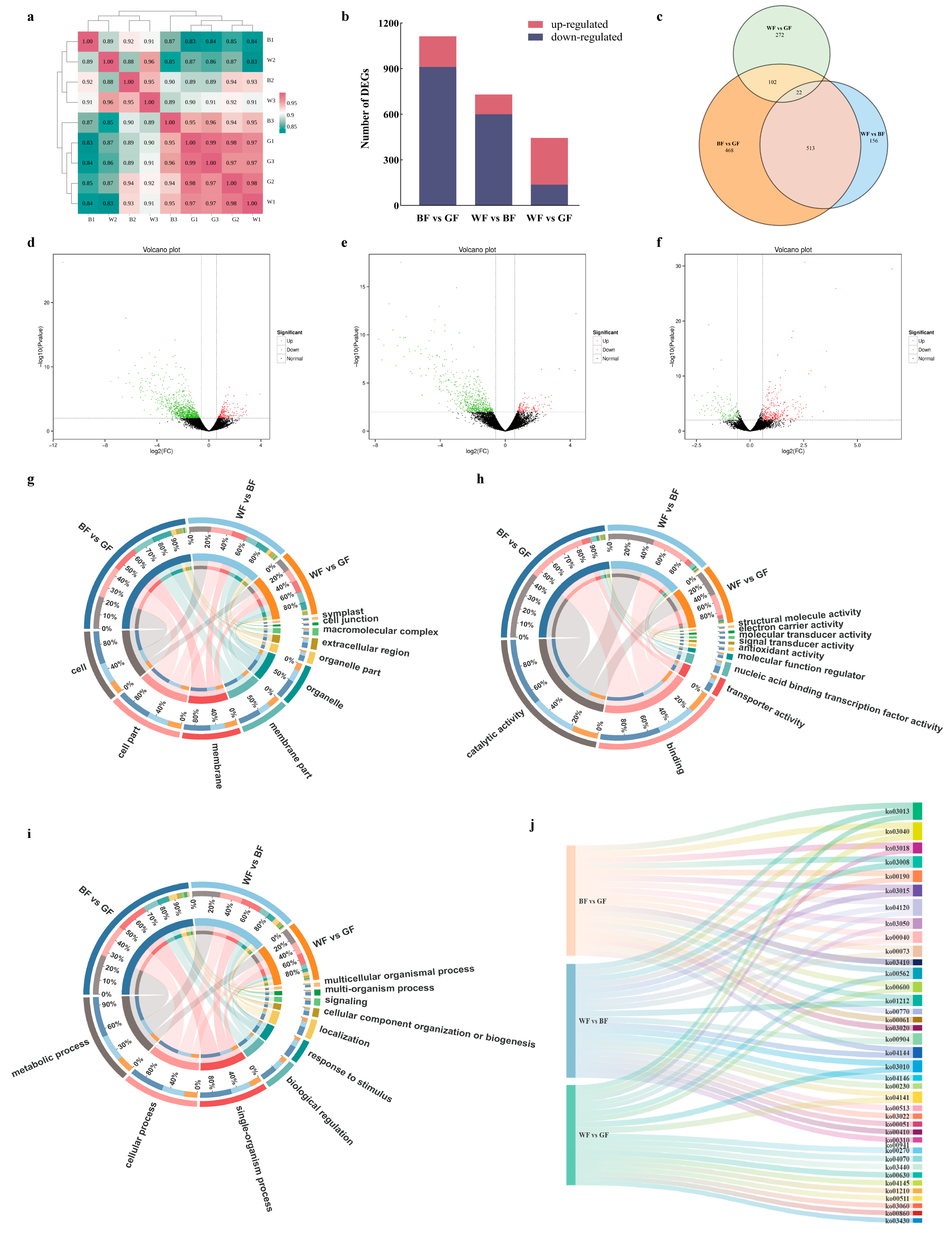 Biology 14 01658 g007