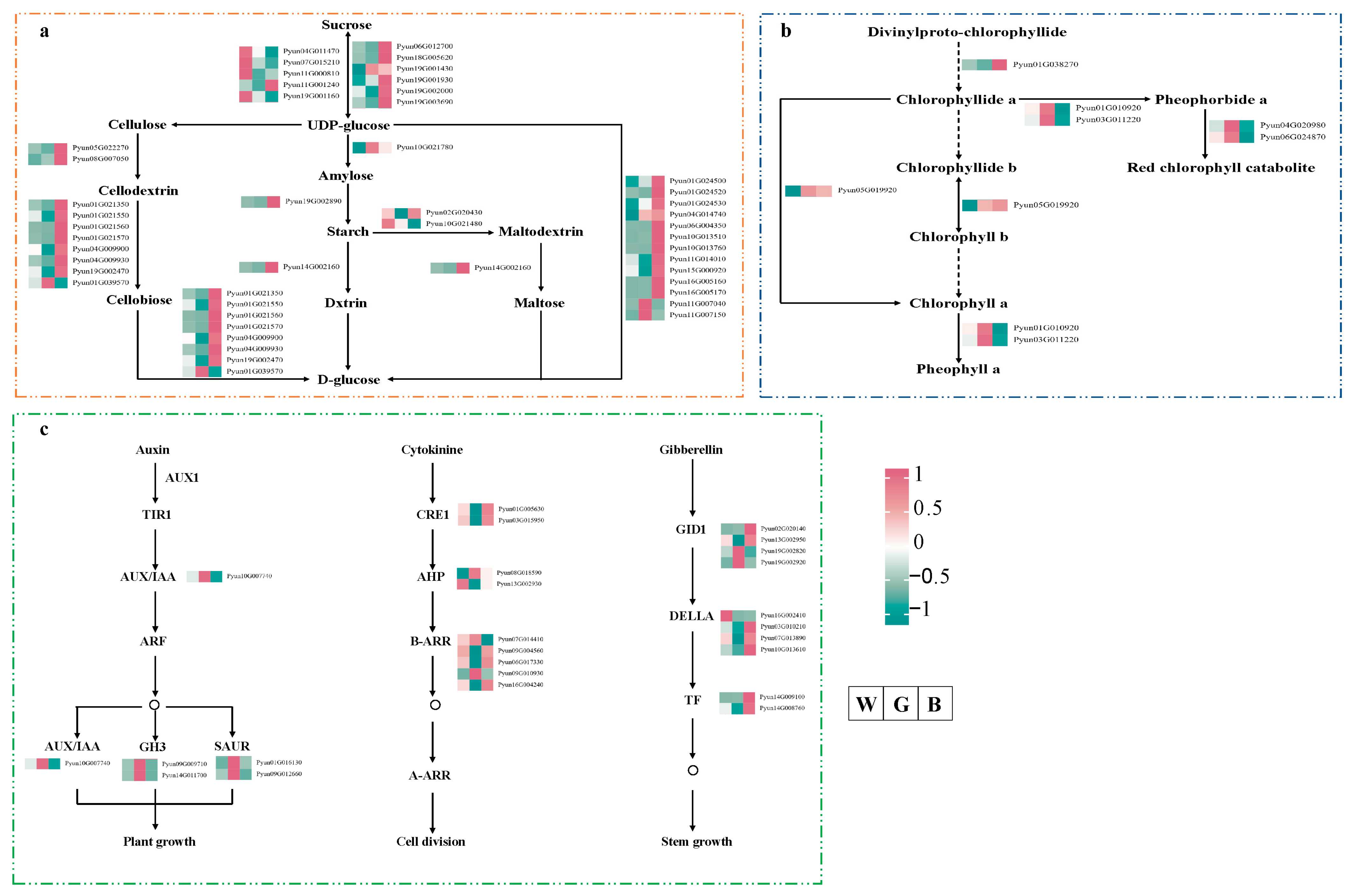 Biology 14 01658 g008
