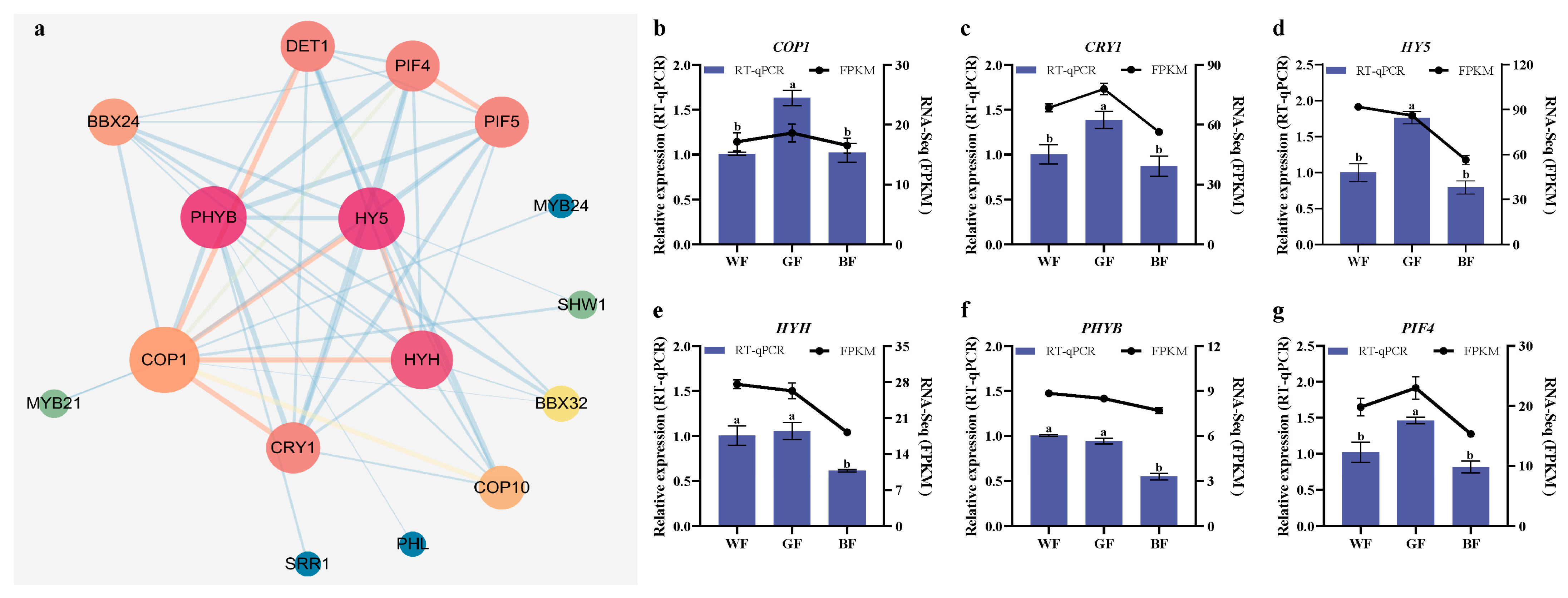 Biology 14 01658 g009