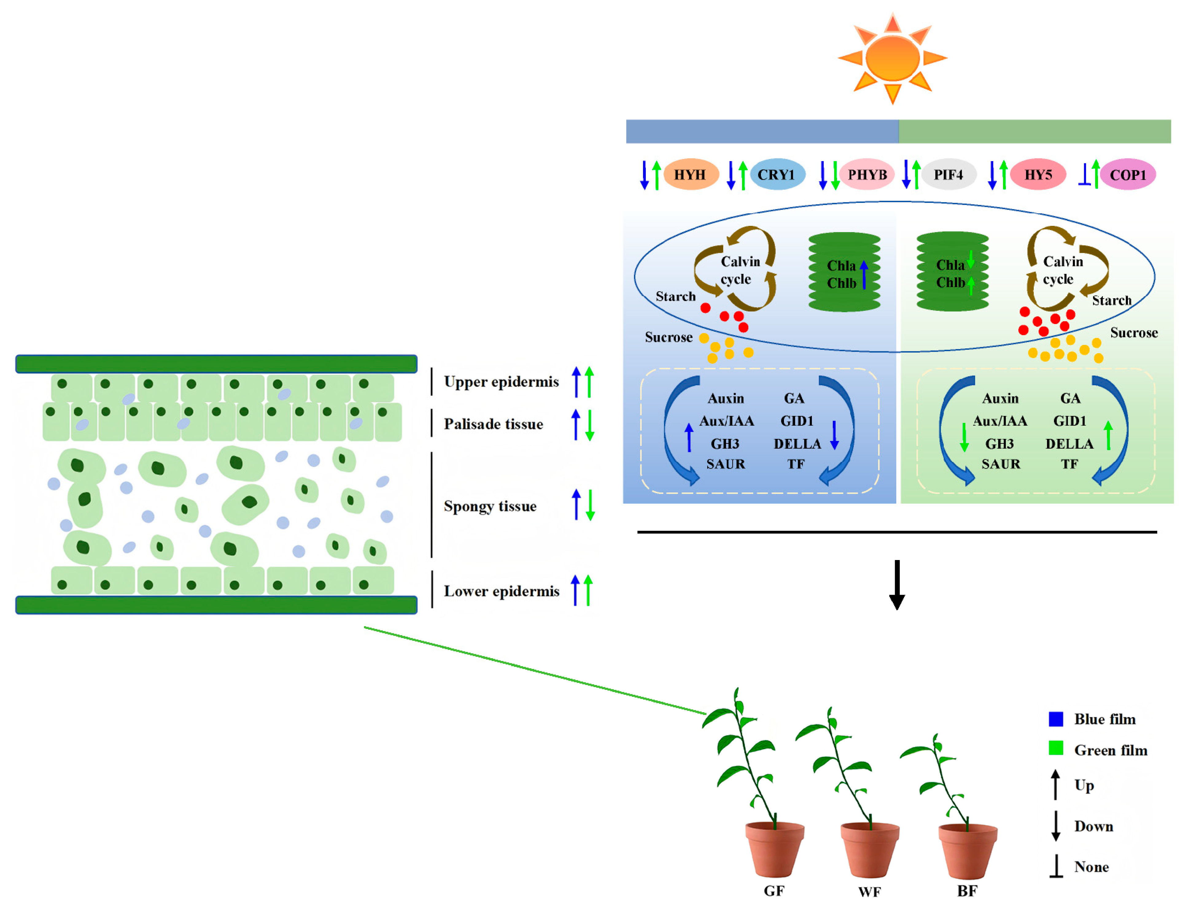 Biology 14 01658 g010