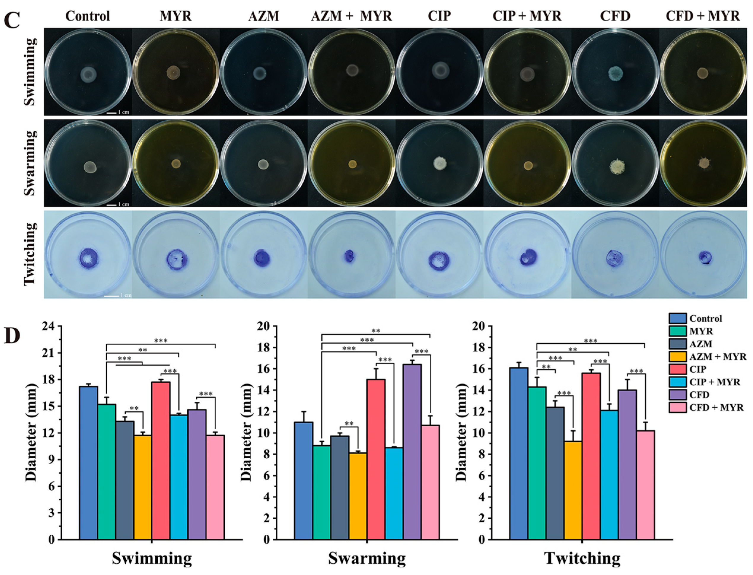Biology 14 01660 g006b