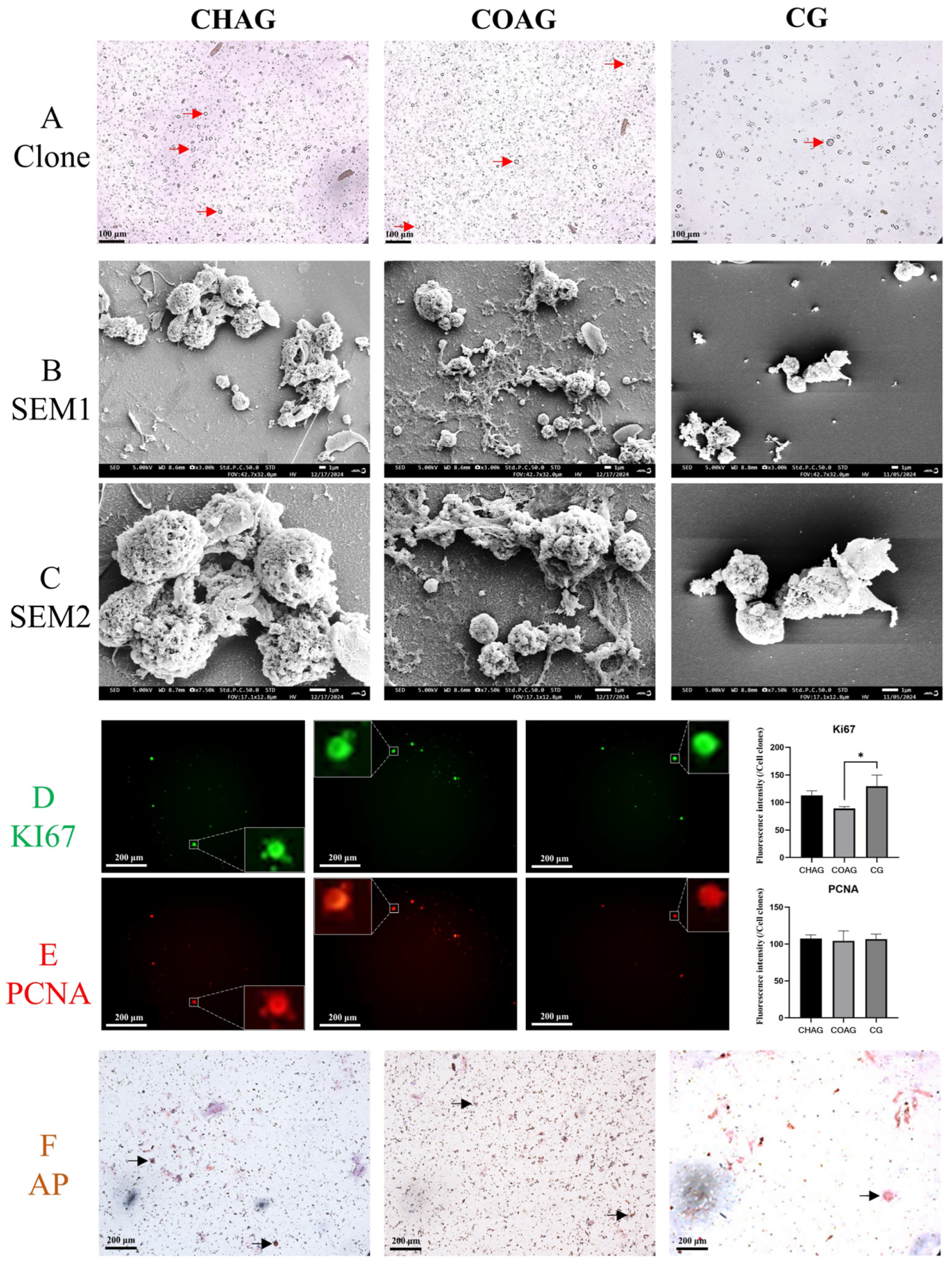 Biology 14 01664 g002