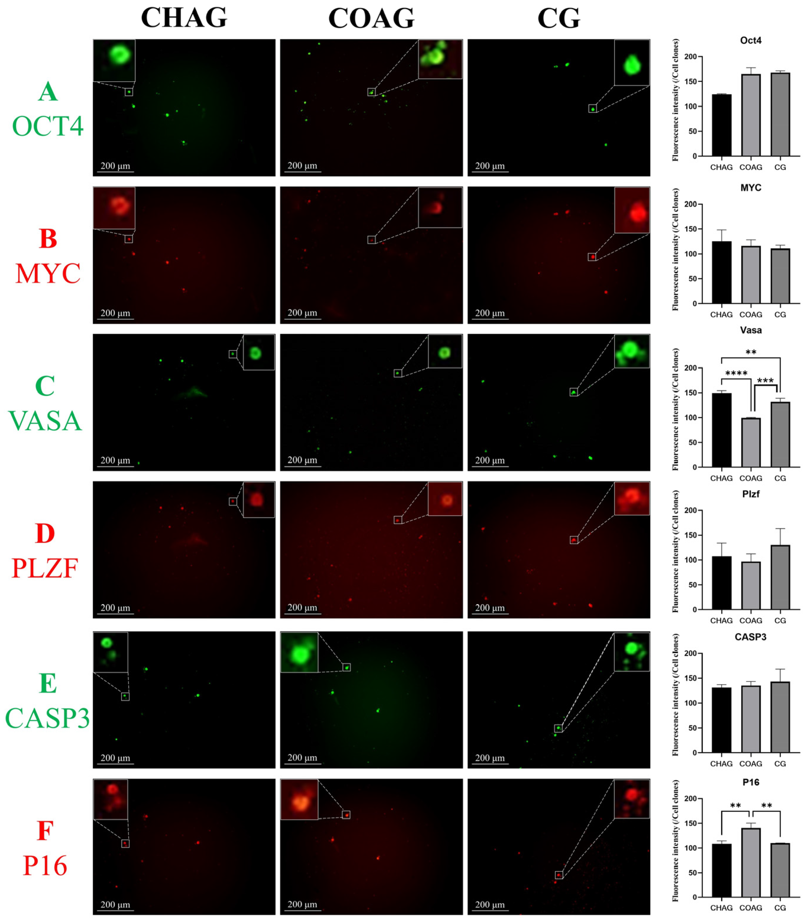 Biology 14 01664 g003