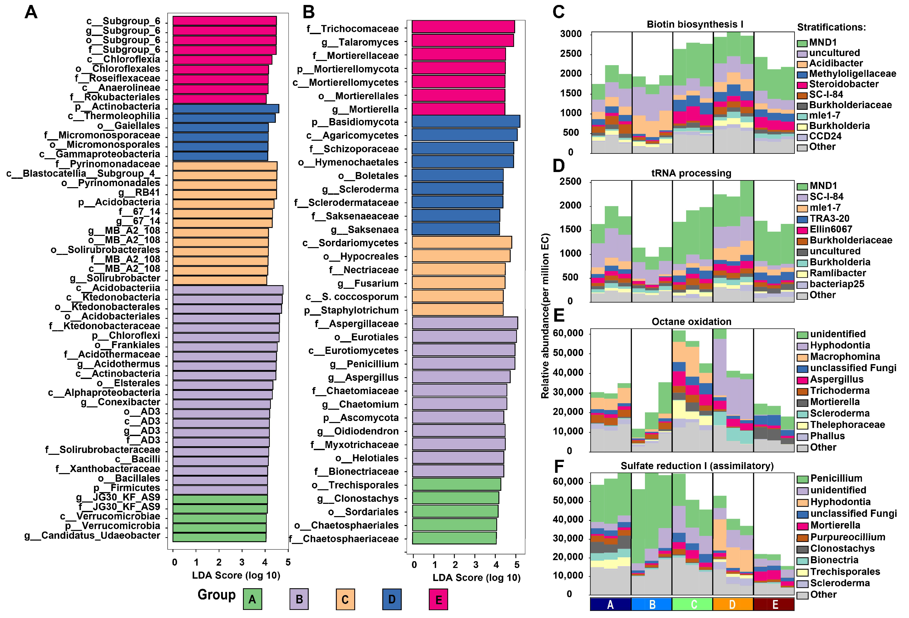 Biology 14 01667 g005