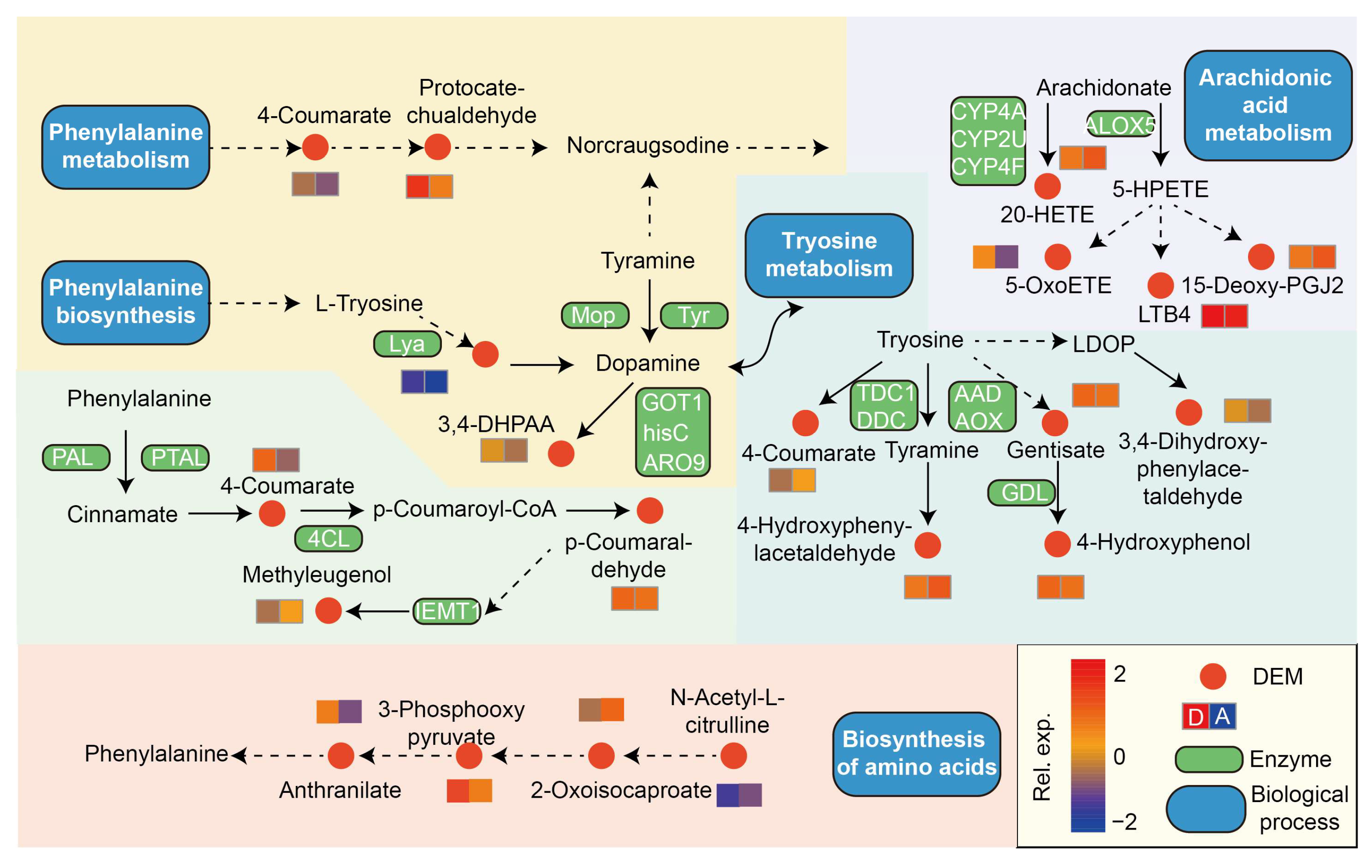 Biology 14 01667 g006