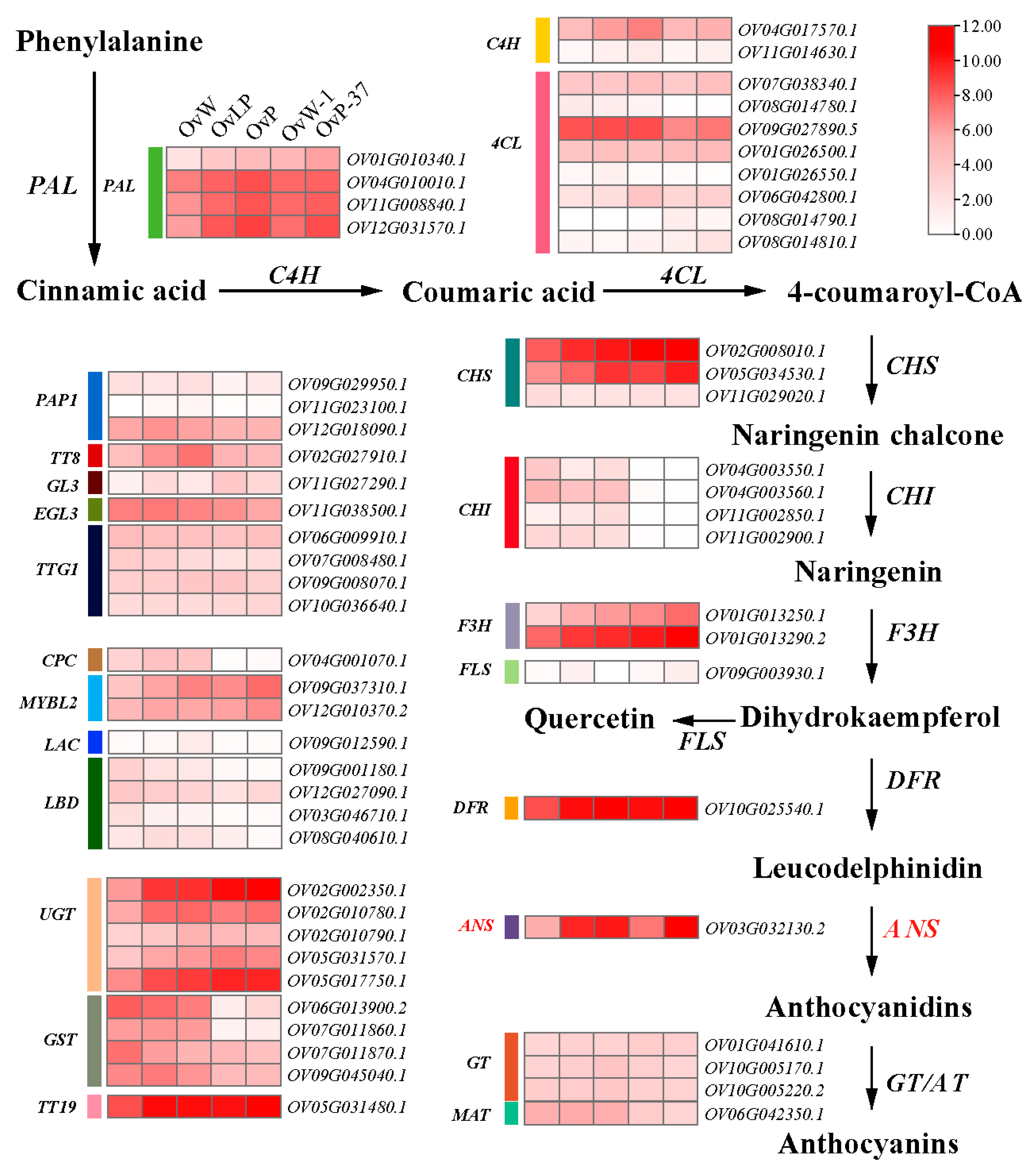 Biology 14 01669 g004