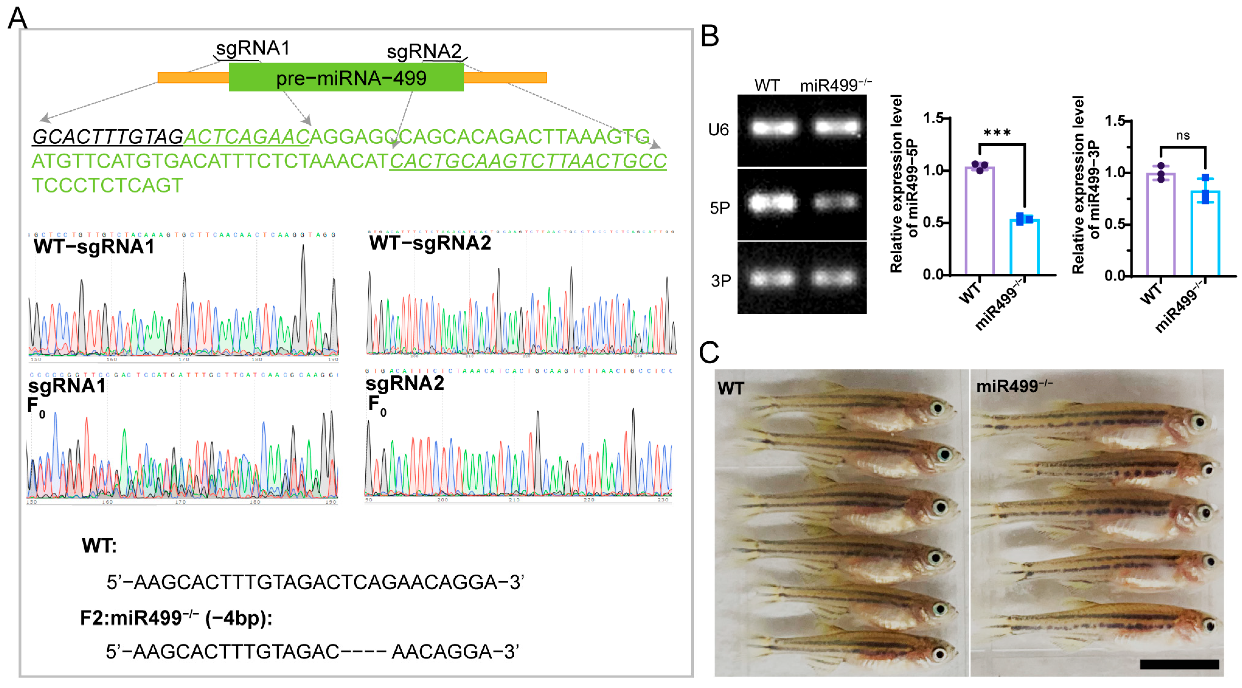 Biology 14 01670 g001 Biology 14 01670 g001