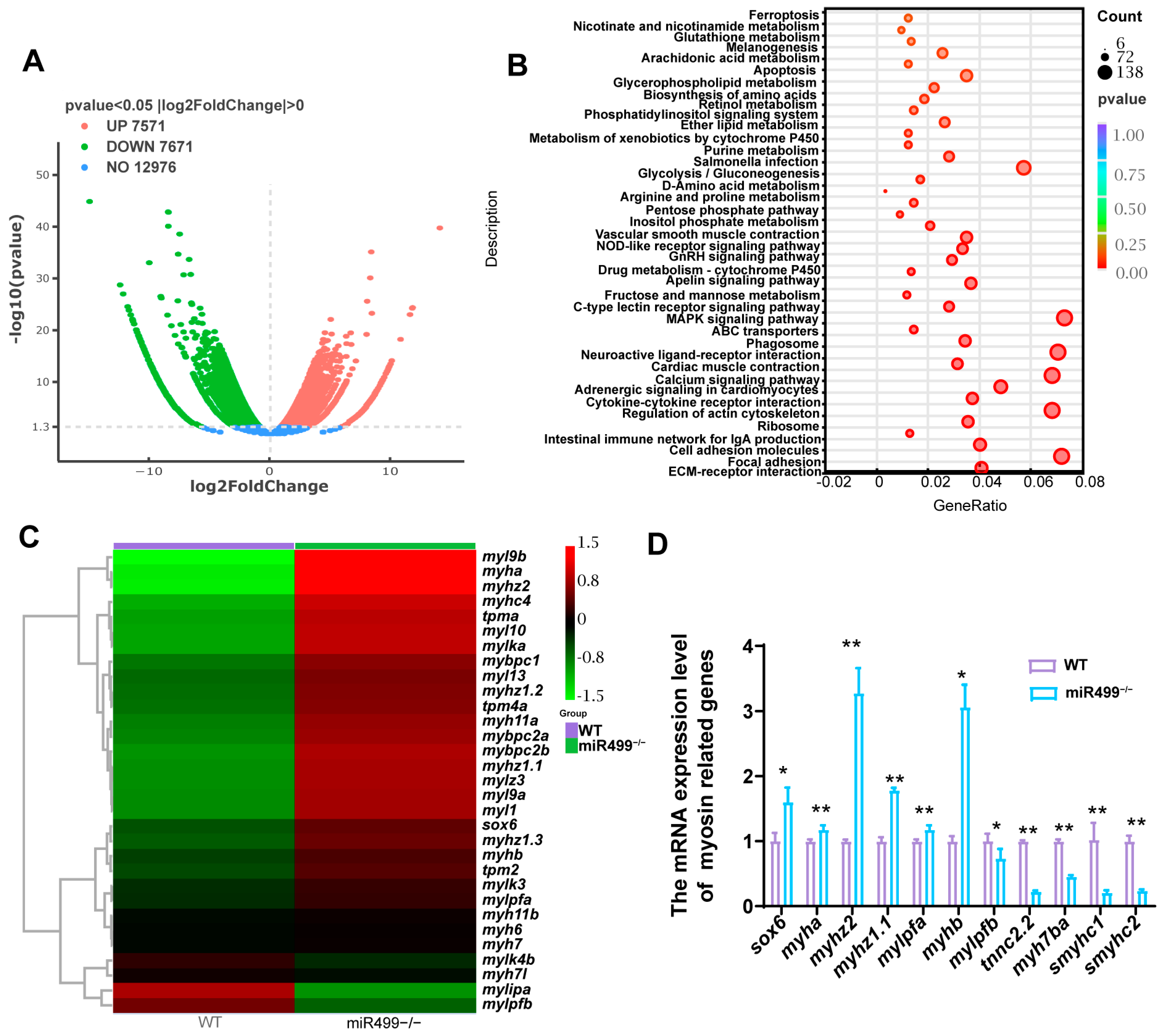 Biology 14 01670 g002 Biology 14 01670 g002