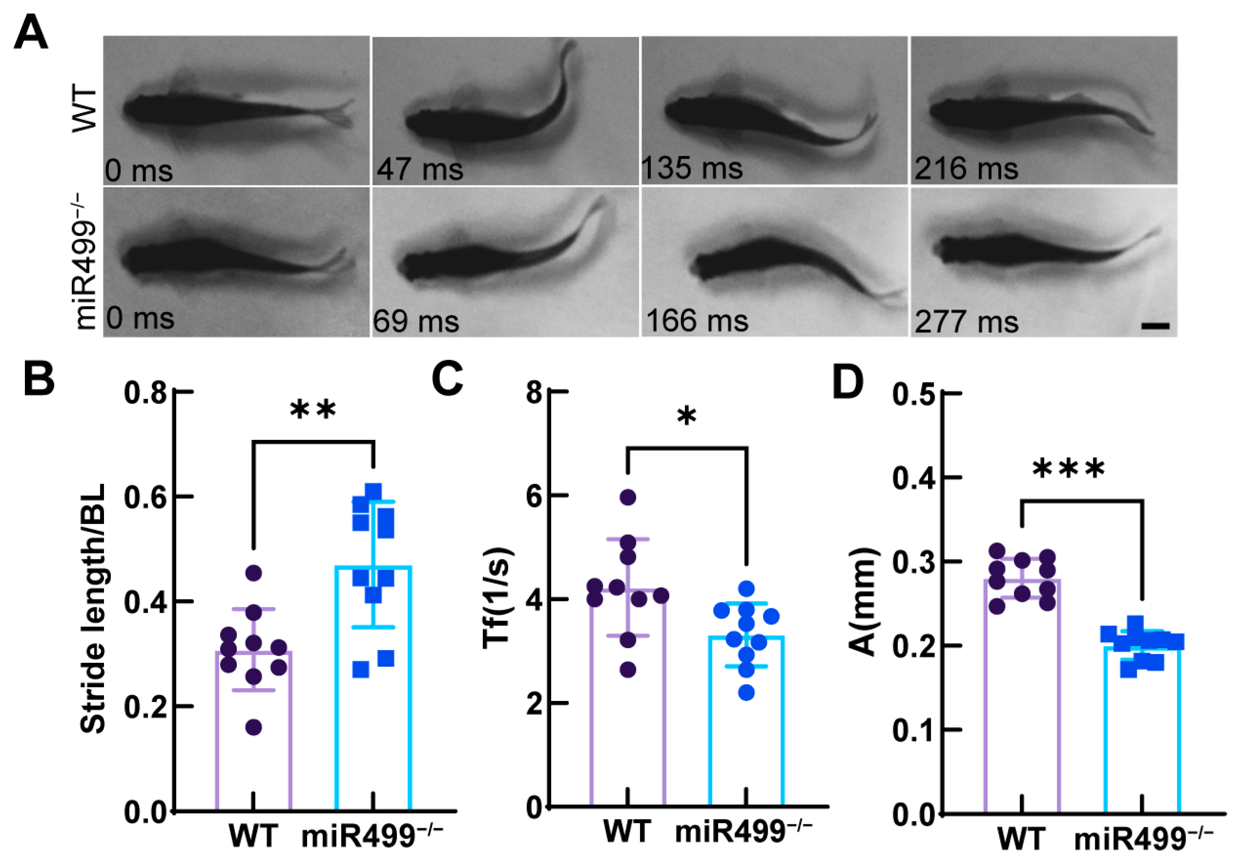 Biology 14 01670 g004 Biology 14 01670 g004