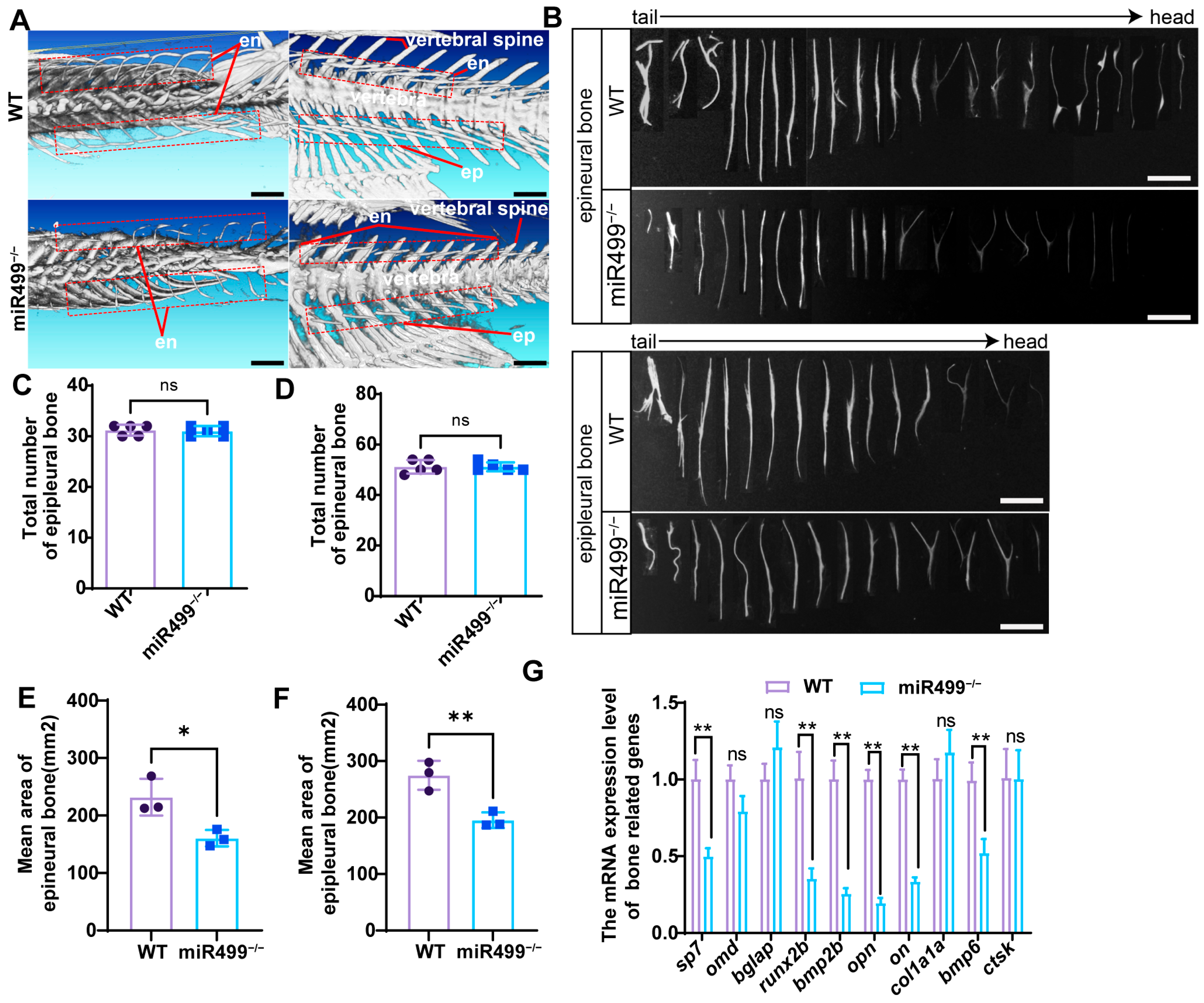 Biology 14 01670 g005 Biology 14 01670 g005